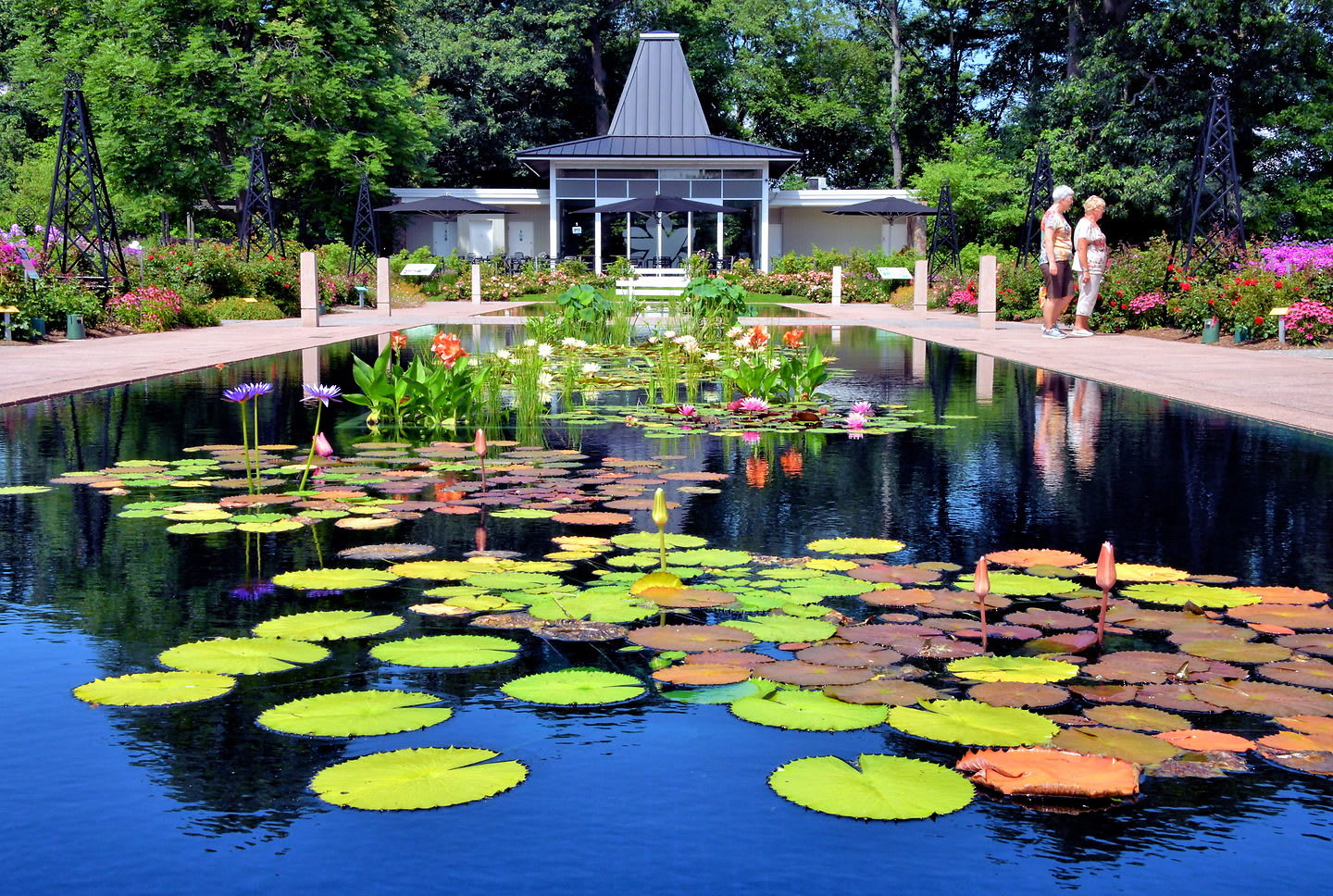 The Teahouse at Royal Botanical Gardens offers a serene setting to enjoy light fare and tea surrounded by lush gardens and peaceful nature views