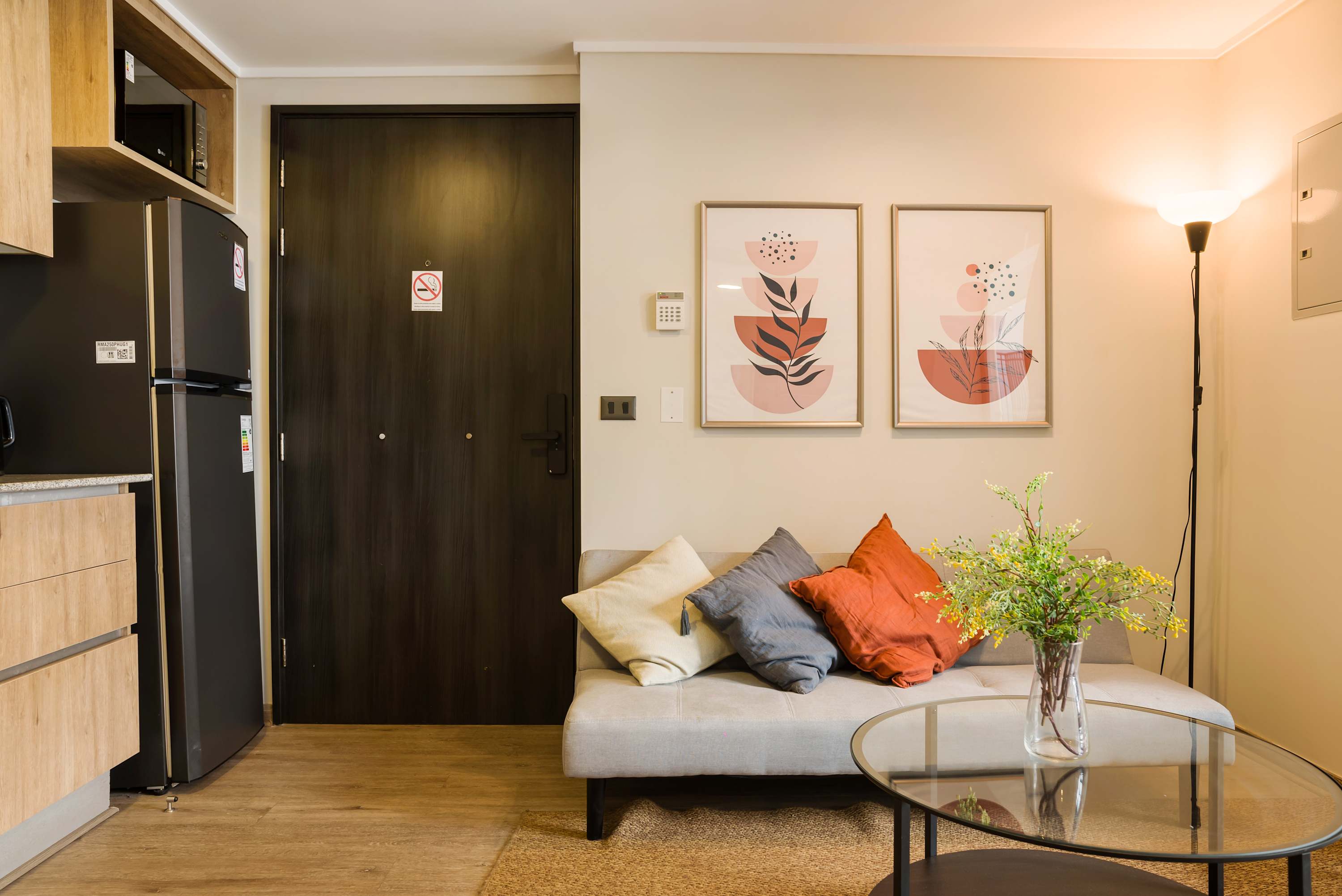 Modern and comfortable 1BR 1BA in Santiago