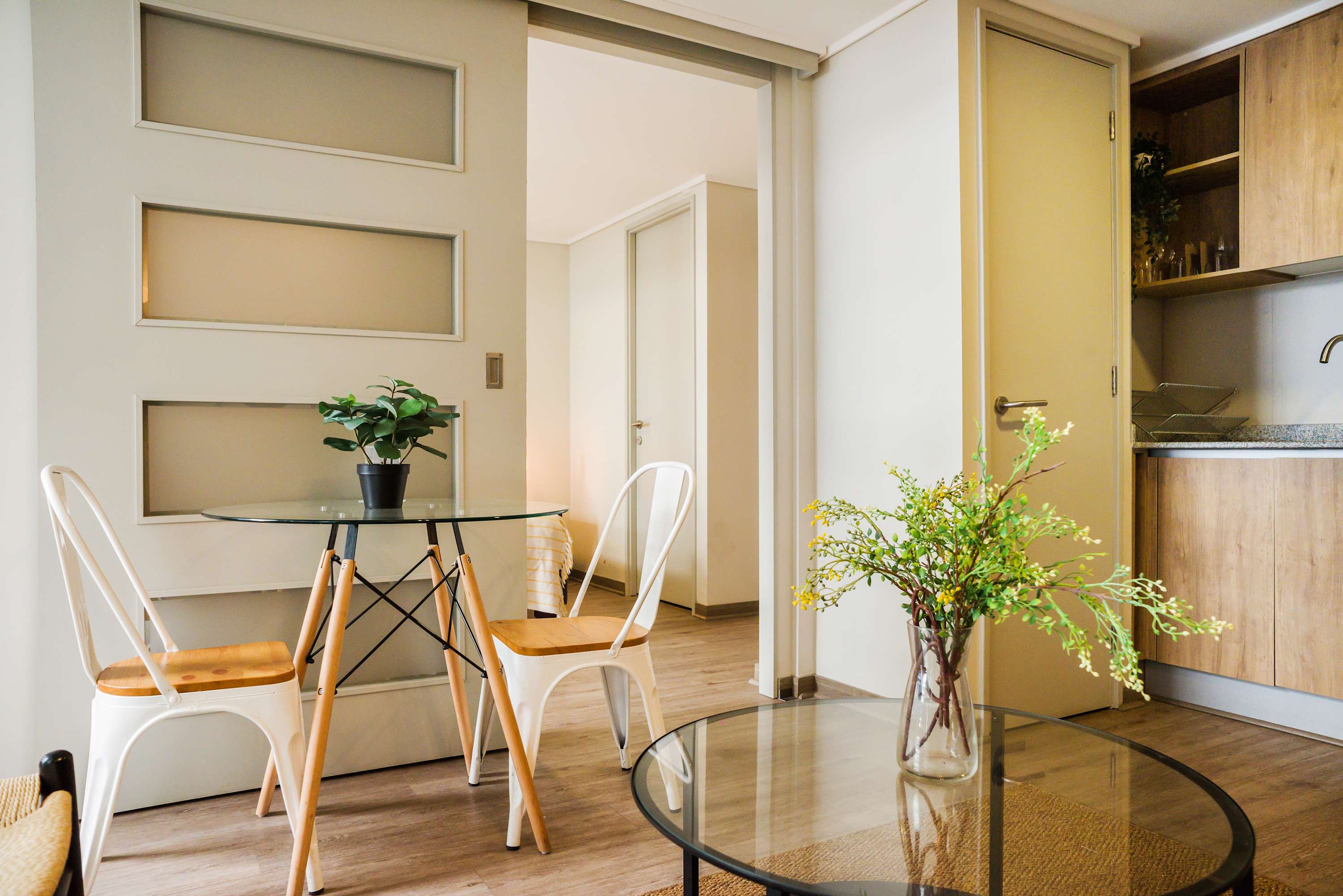 Modern and comfortable 1BR 1BA in Santiago