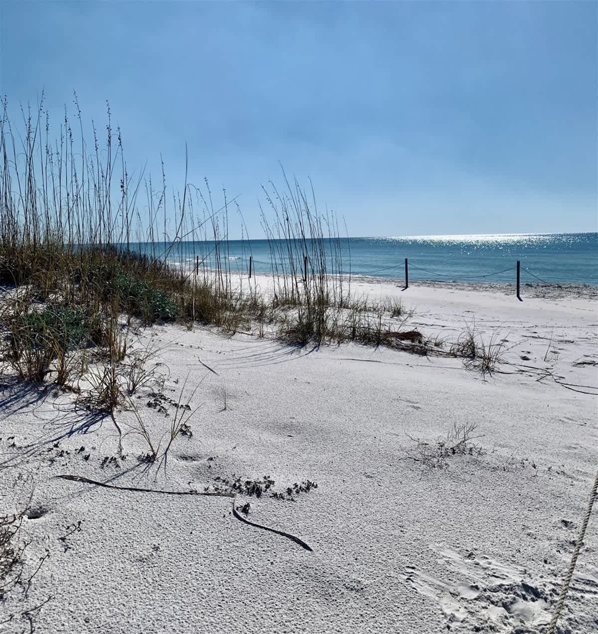 Feeling Tip Sea | Golf Cart | Bikes | Prominence