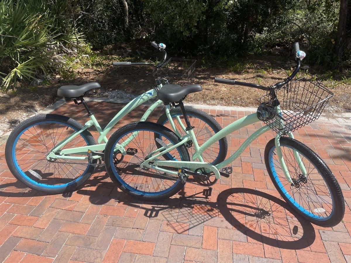 Driftwood Place | Newly Renovated | Bikes