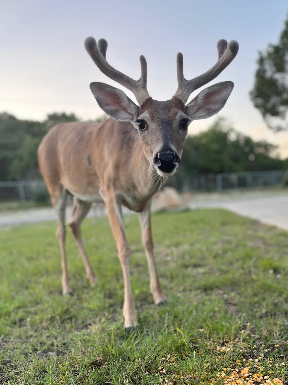Southern Hillcountry Hideaway | Photo 38