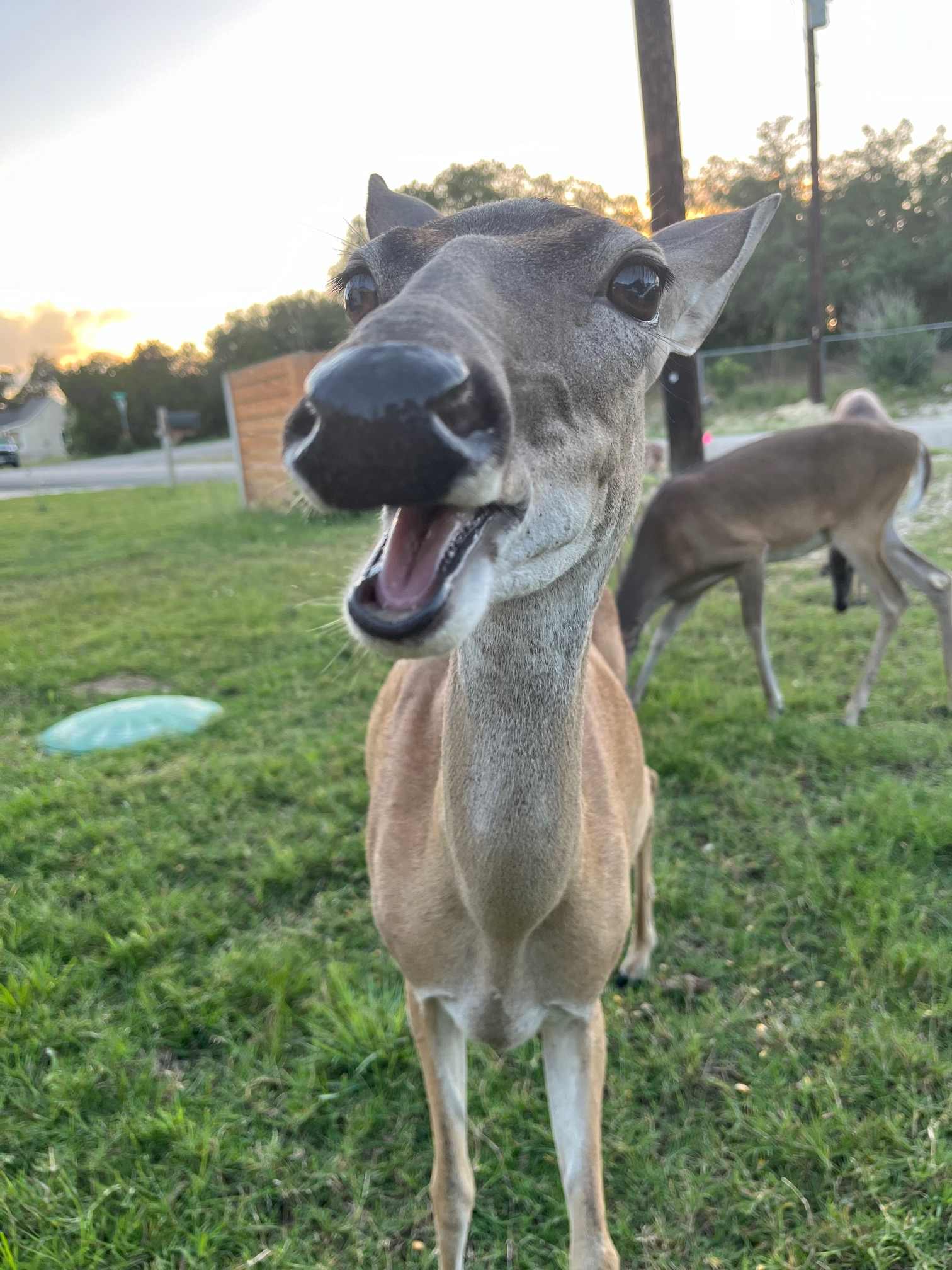 Southern Hillcountry Hideaway | Photo 37