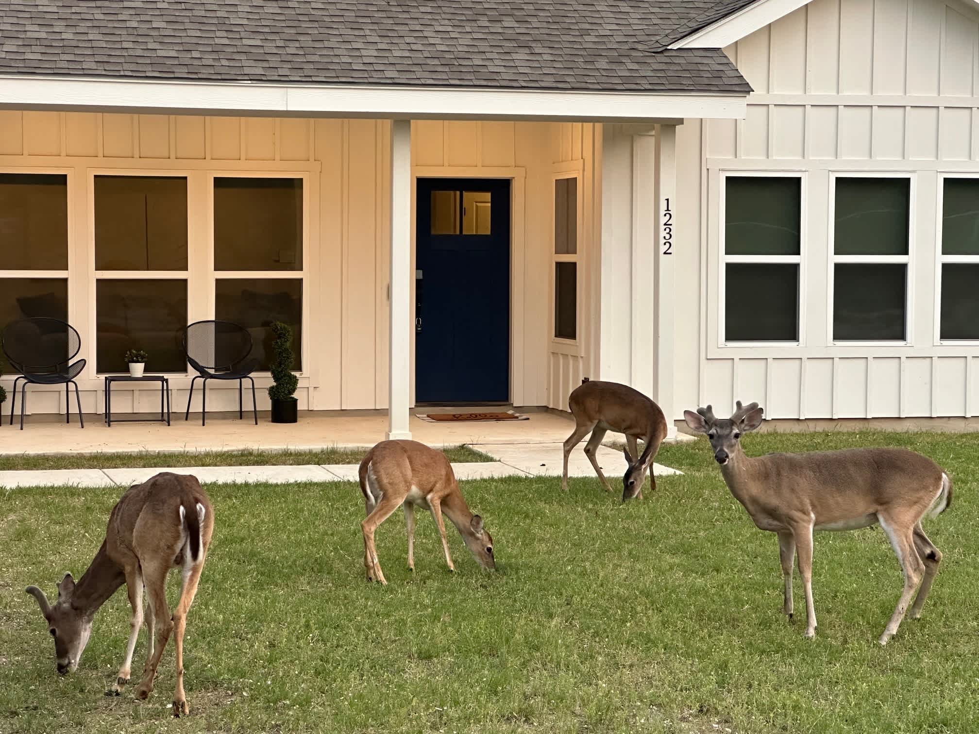 Southern Hillcountry Hideaway | Photo 36