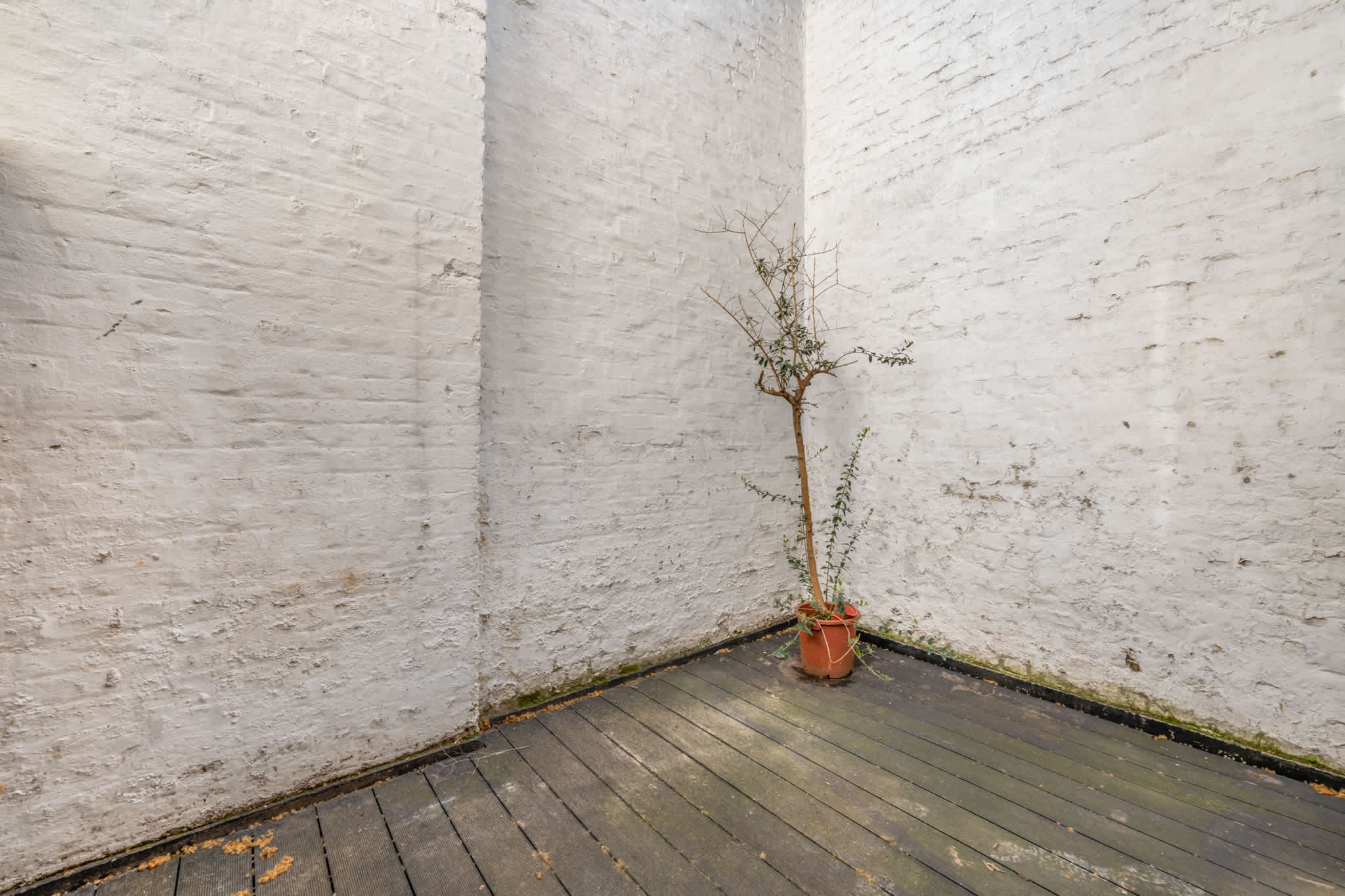 Comfort Studio with Terrace in Knightsbridge in Beaufort Gardens SW3 1QH - Property image 12 - VivreStays