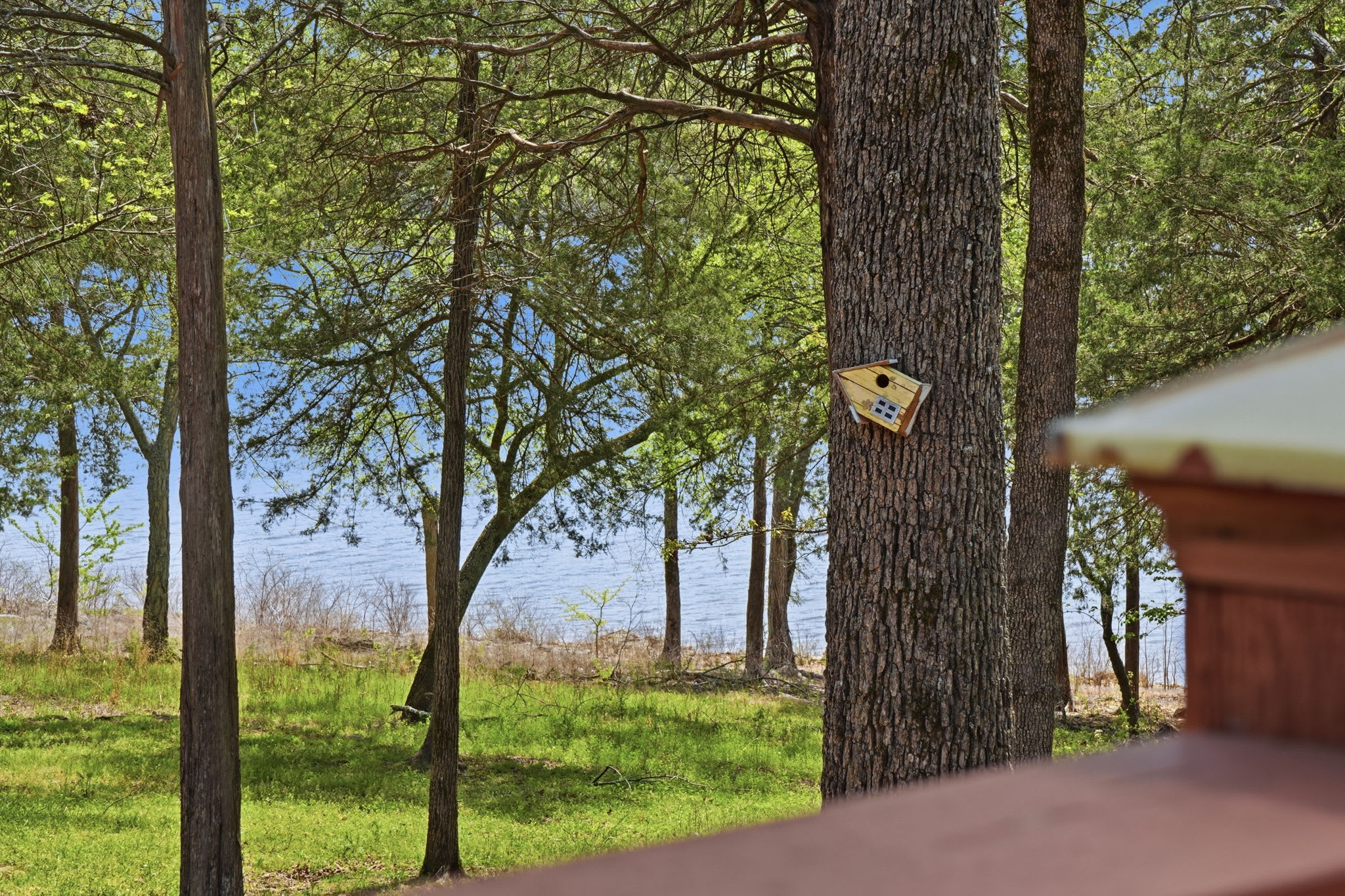 Scenic views at Quail Cove Resort