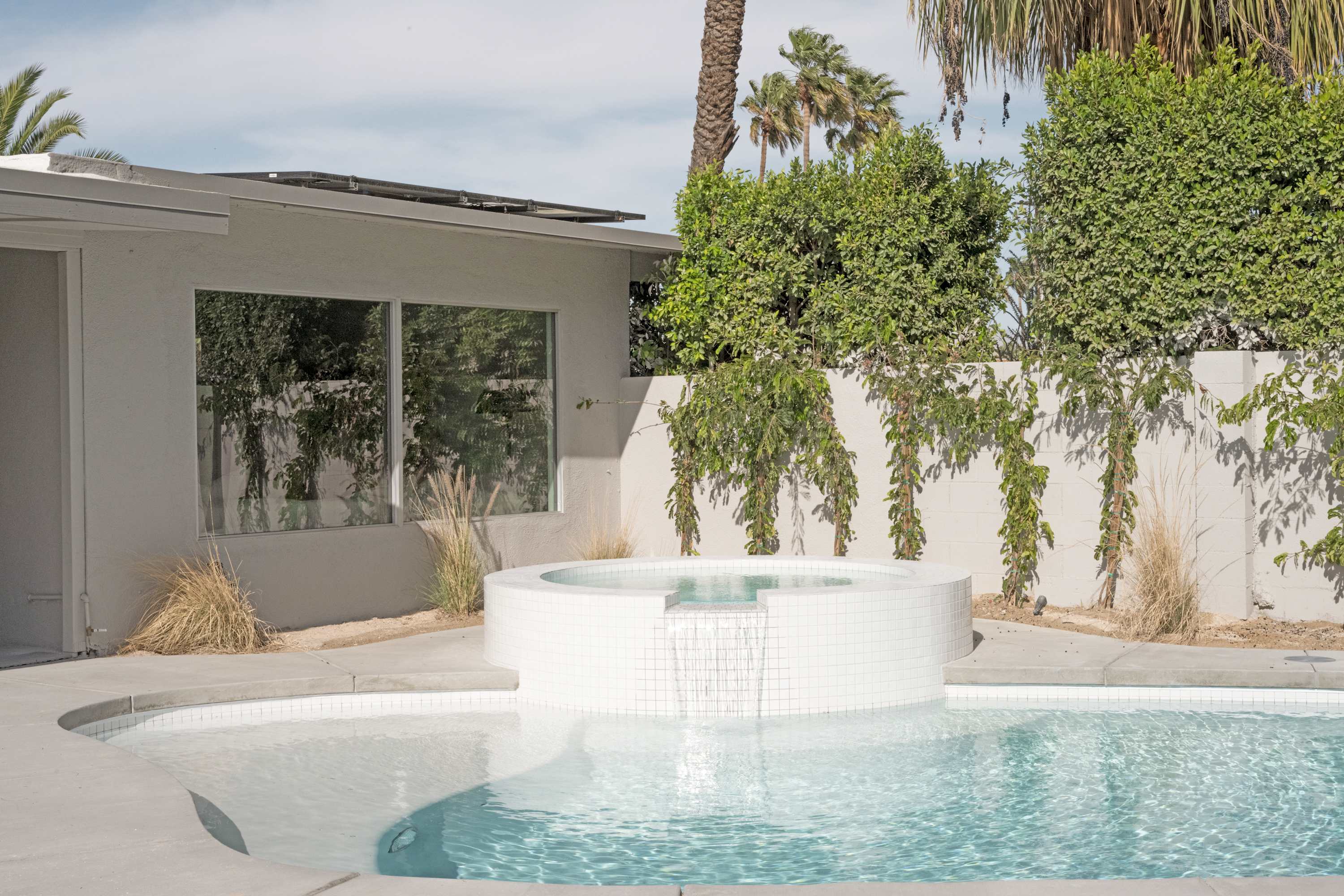 Meiselman | Palm Springs, California | Photo 2