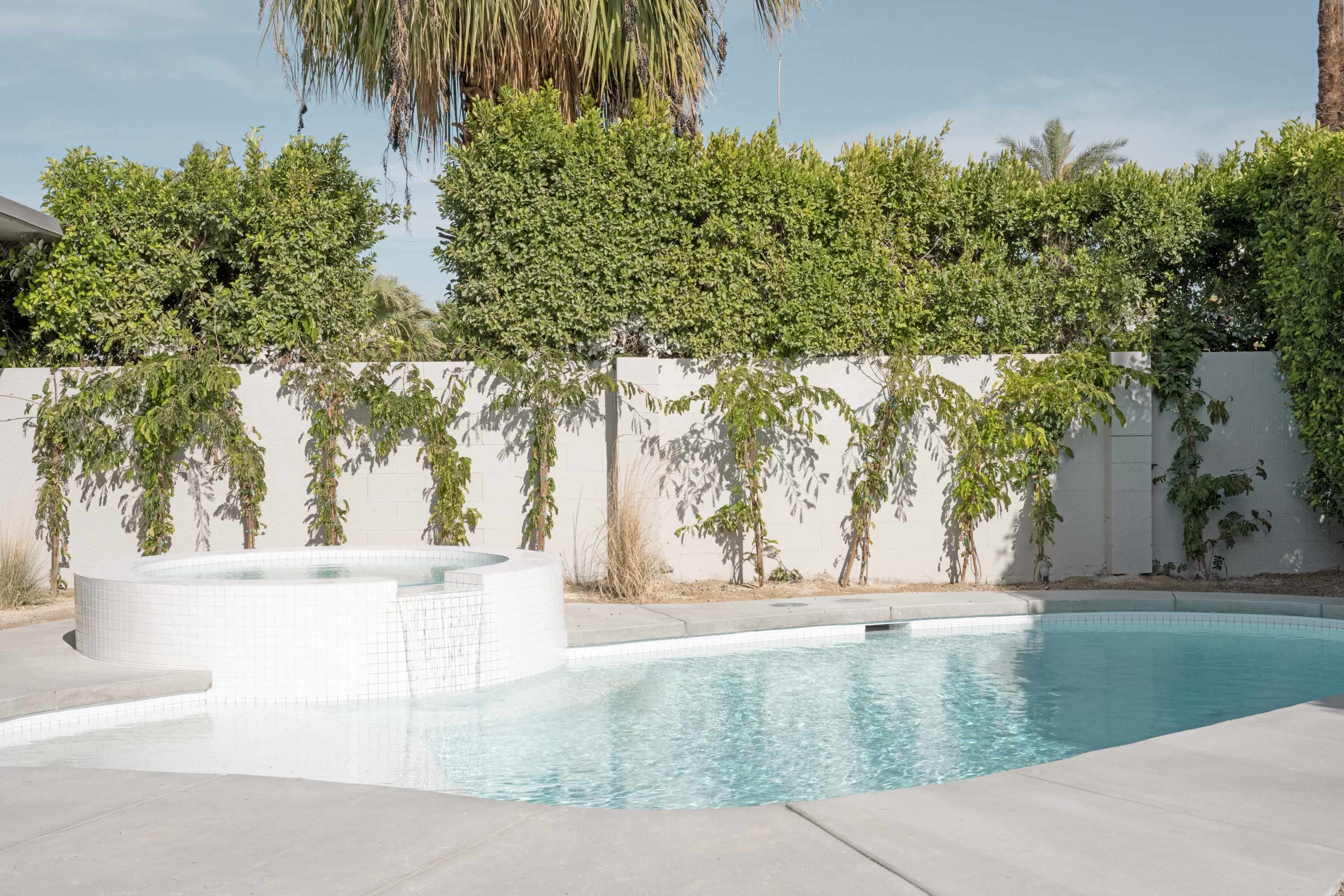 Meiselman | Palm Springs, California | Photo 46