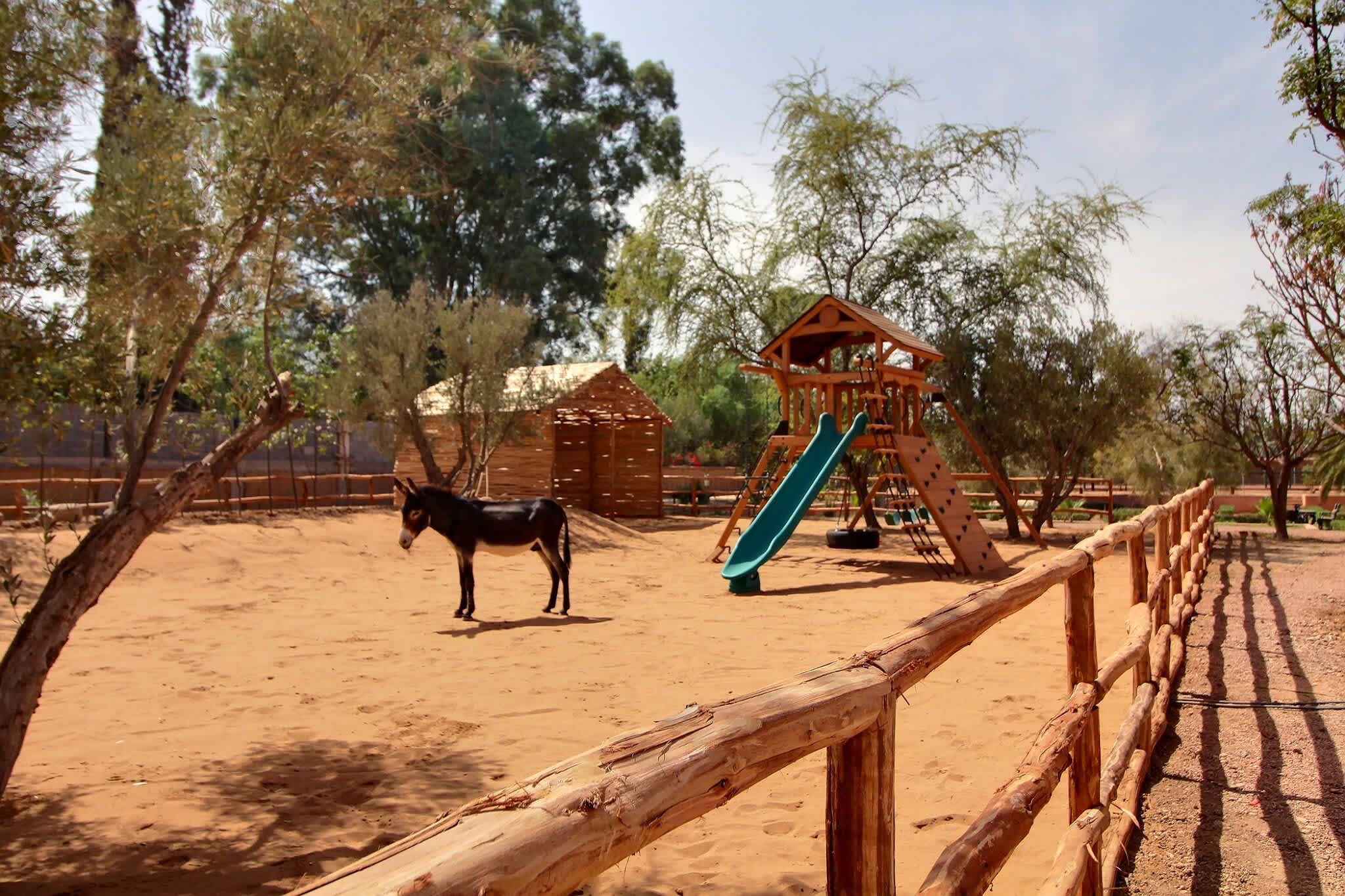 Sublime Villa Marrakech – photo 12