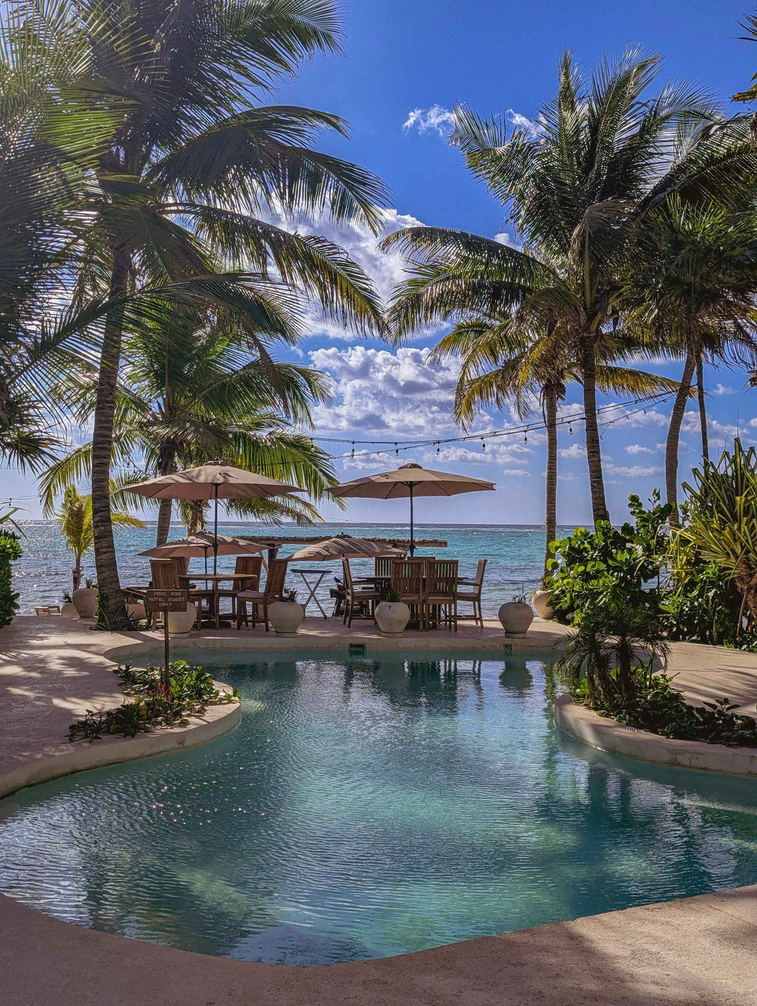 Shared pool with stunning ocean views