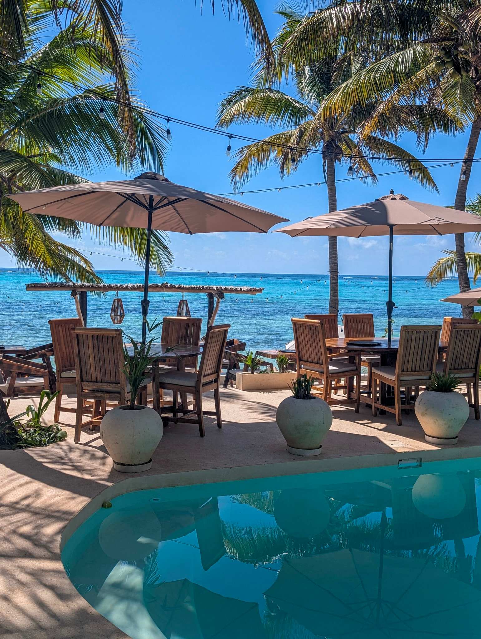 Stunning shared oceanfront pool, shared with other guests of the property.