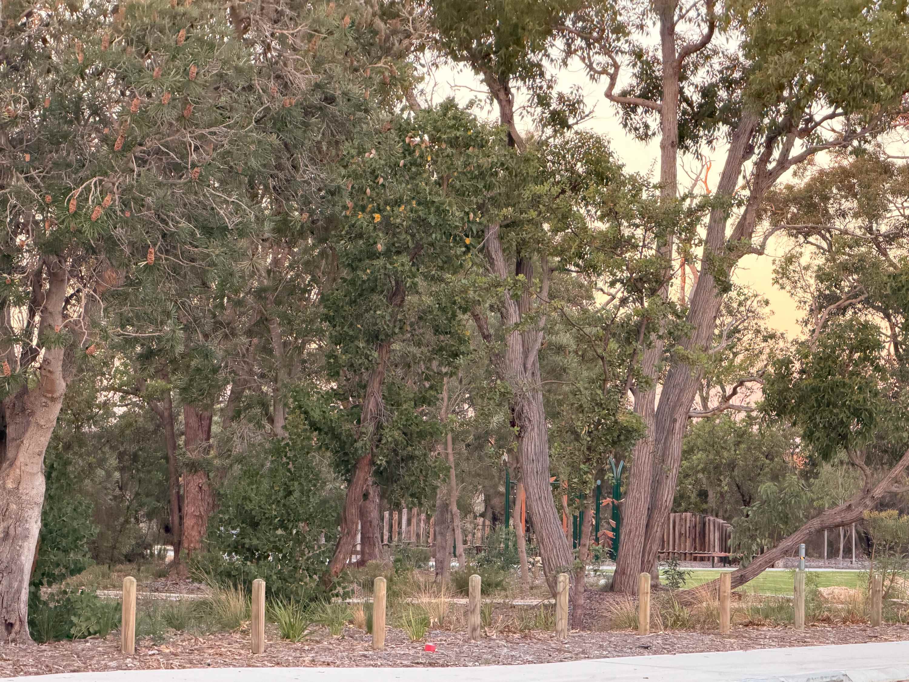 Accessible home in Coodanup, Western Australia