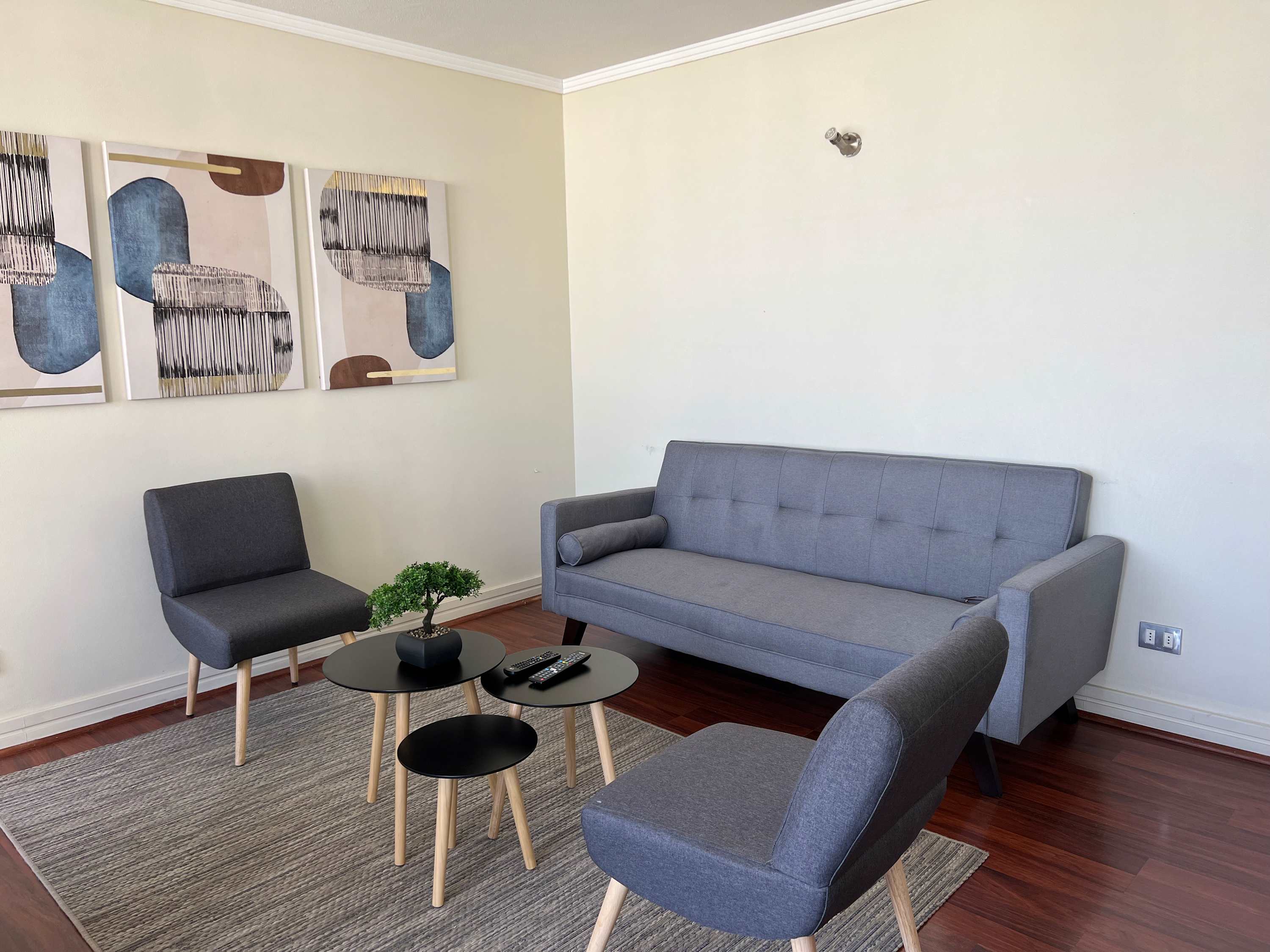 Cozy and modern living space with stylish decor, perfect for relaxation and socializing.