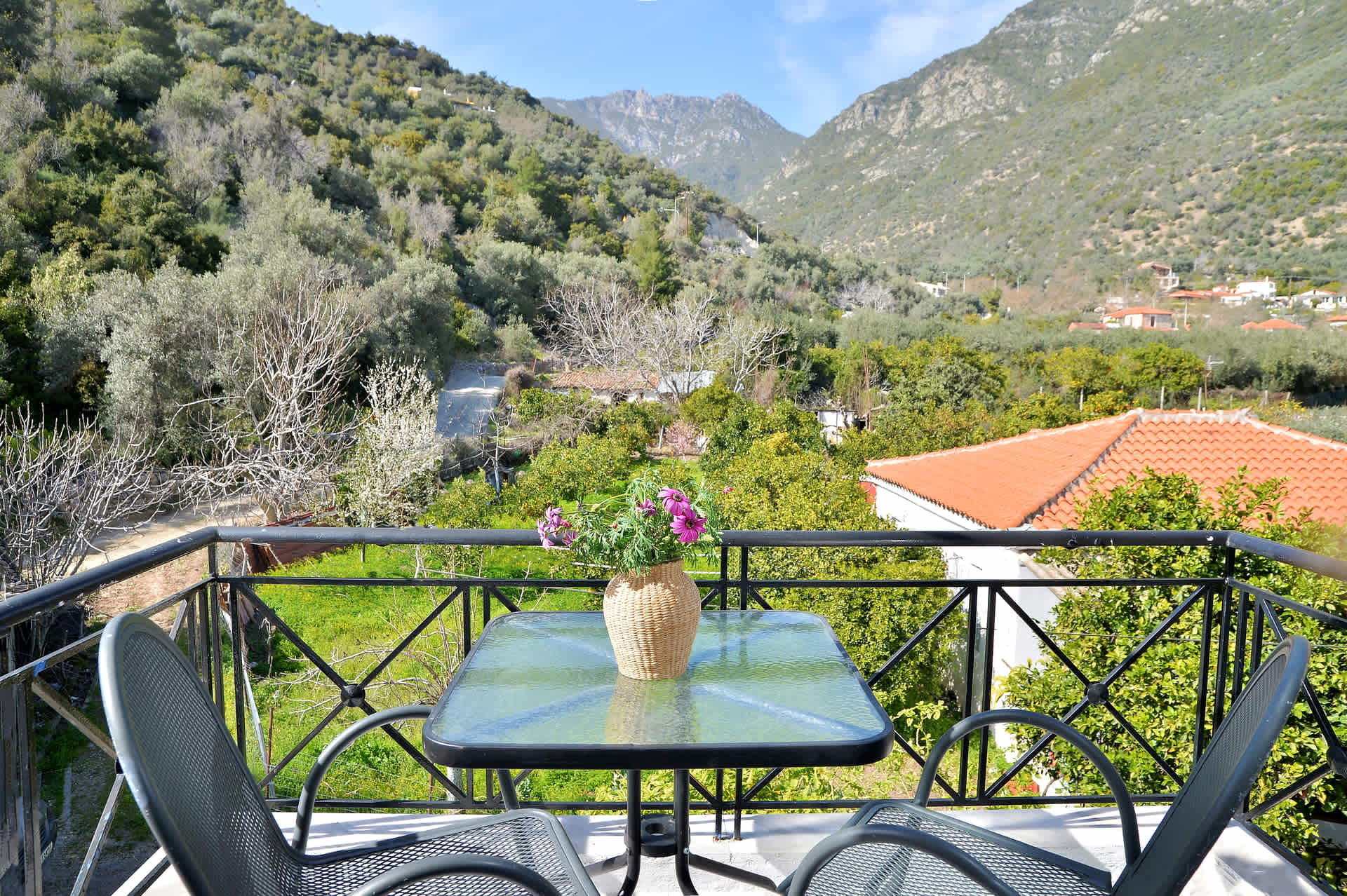 Ilia Edipsos Nest - Homely Vibes and Mountain View — Ilia Edipsos, Euboea — vacation rental