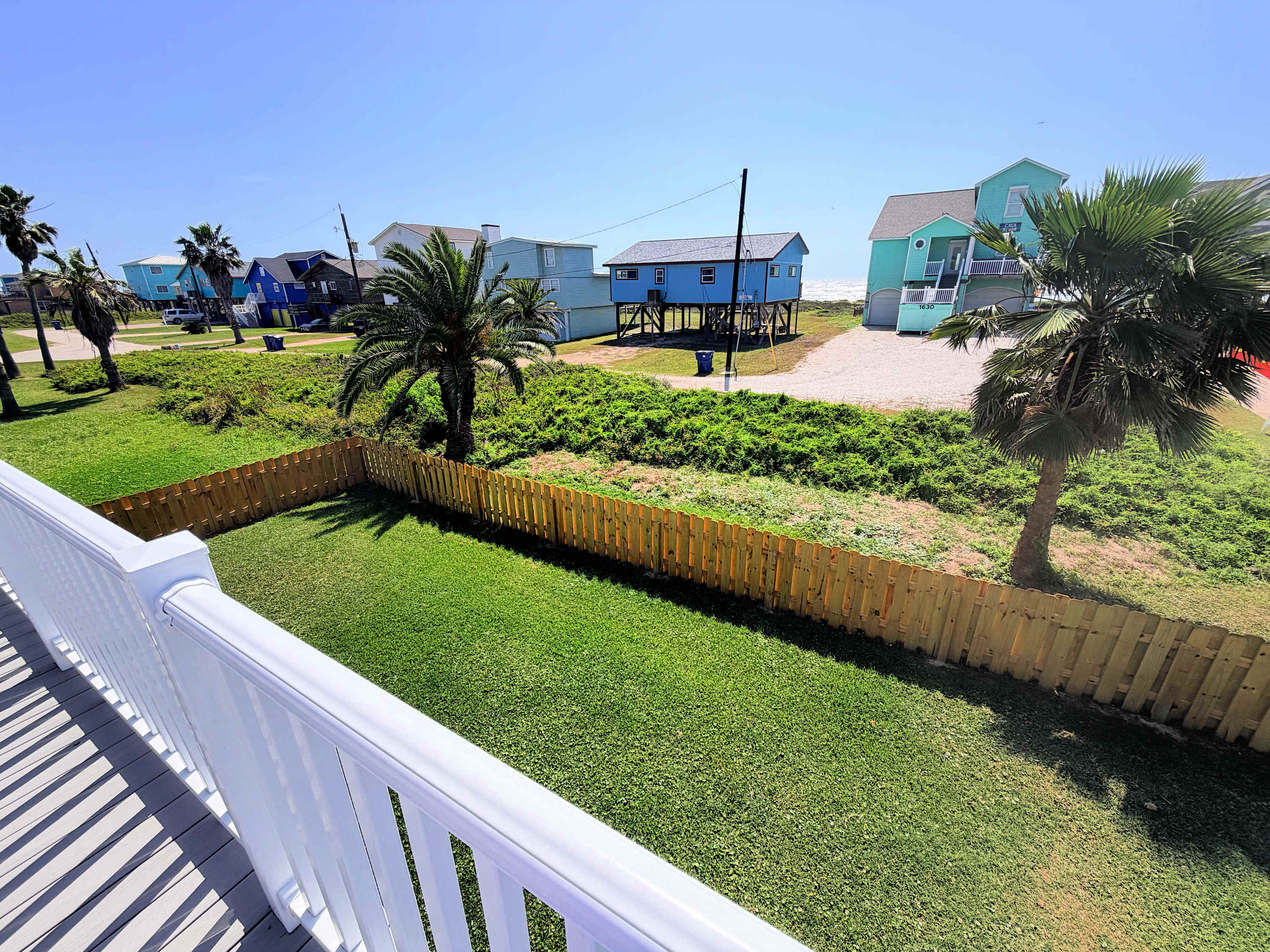 Shiner by the Sea COMING SOON | Photo 3