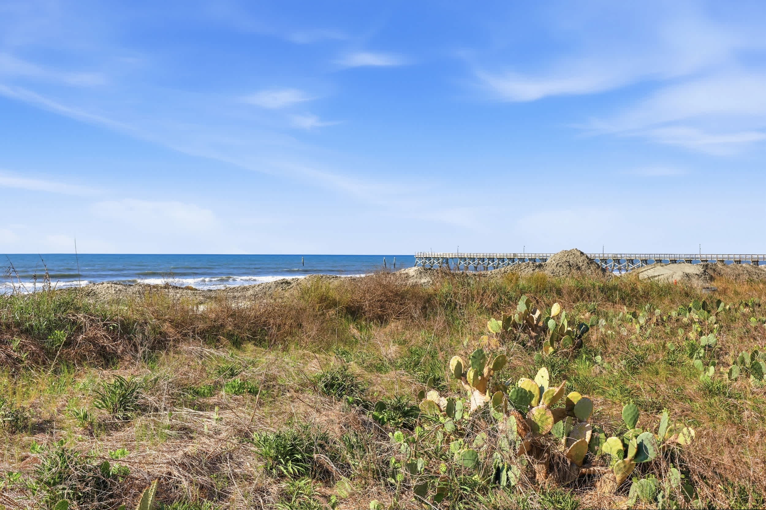 Sandy Bits Oceanfront Premium Condo with Pool 