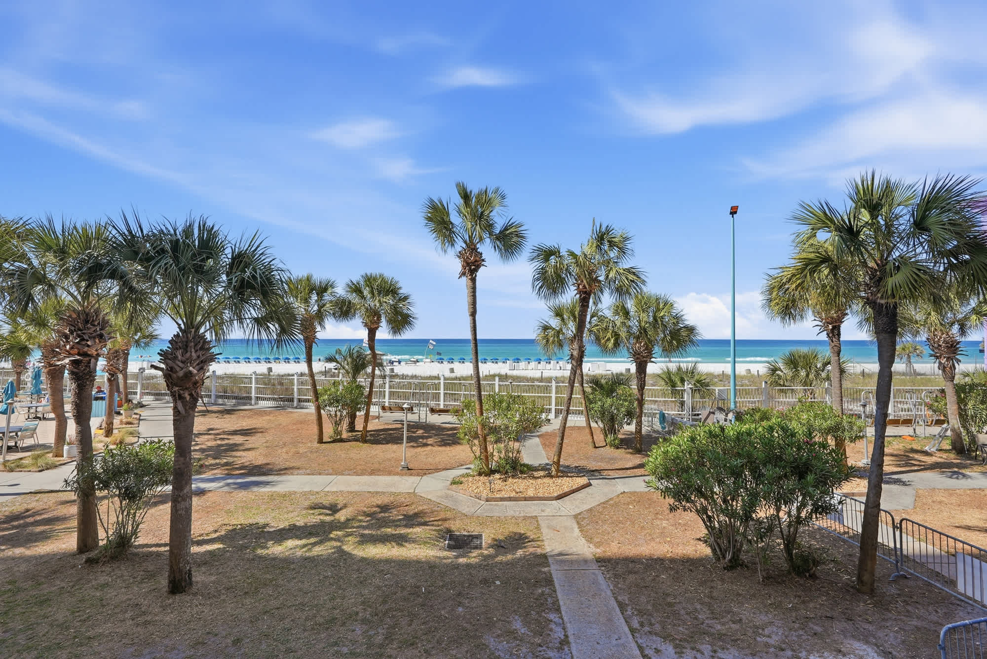 The Summit 206 – View of beach with palm trees and seating areas in the foreground.