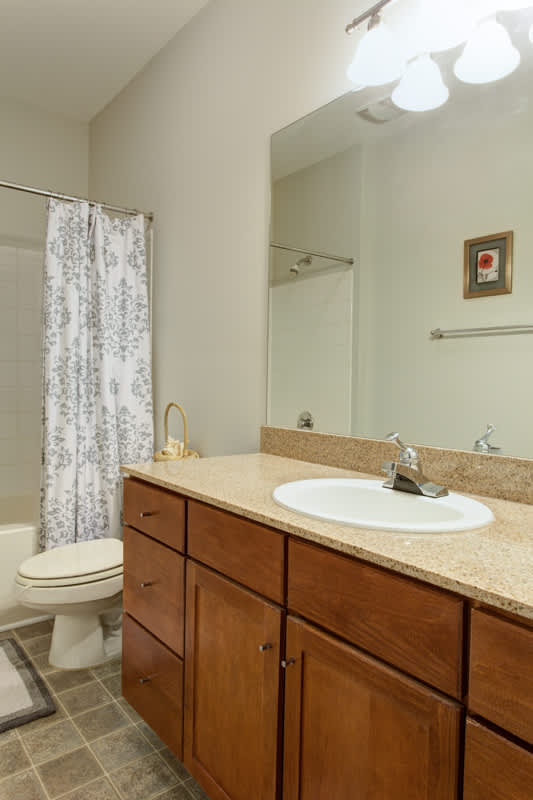 Walker Executive Apt - vacation rental in Charlottesville — photo 8 of 21