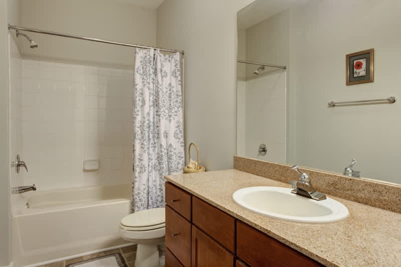 Walker Executive Apt - vacation rental in Charlottesville — photo 7 of 21