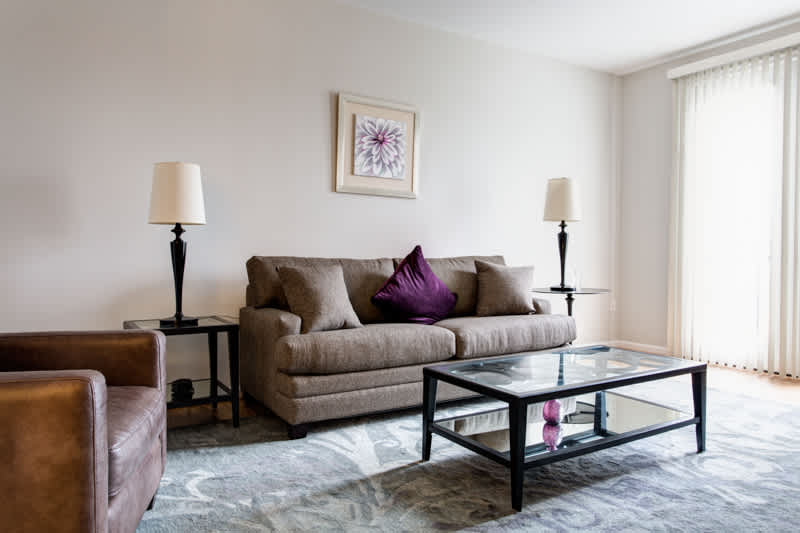 Walker Executive Apt - vacation rental in Charlottesville — photo 11 of 21