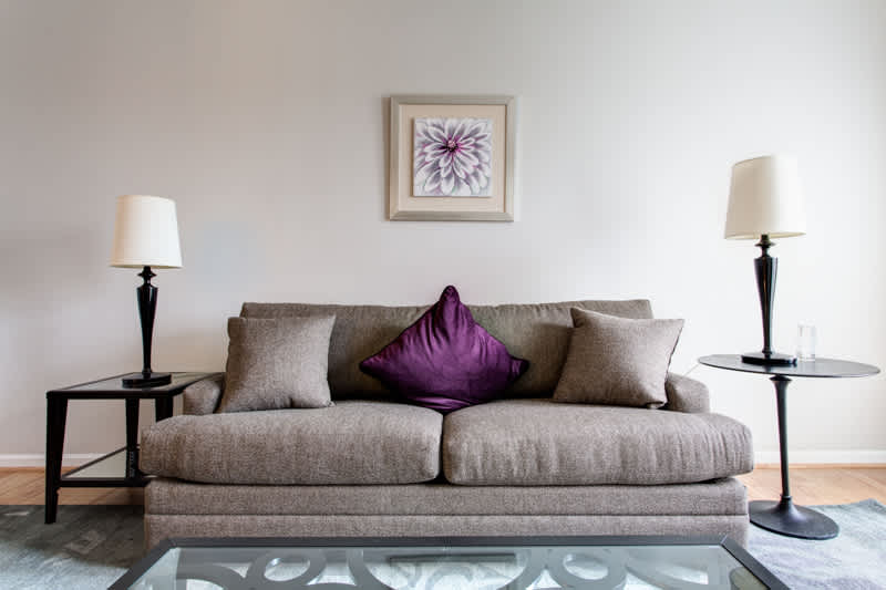 Walker Executive Apt - vacation rental in Charlottesville — photo 9 of 21