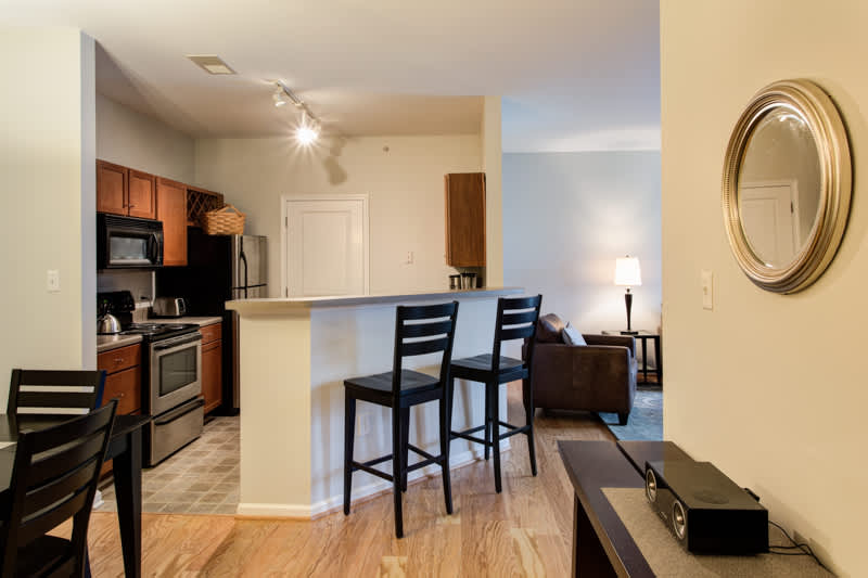 Walker Executive Apt - vacation rental in Charlottesville — photo 15 of 21