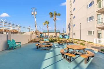 The Summit 618 – Outdoor seating area with picnic tables, palm trees, and a blue concrete surface next to a building.