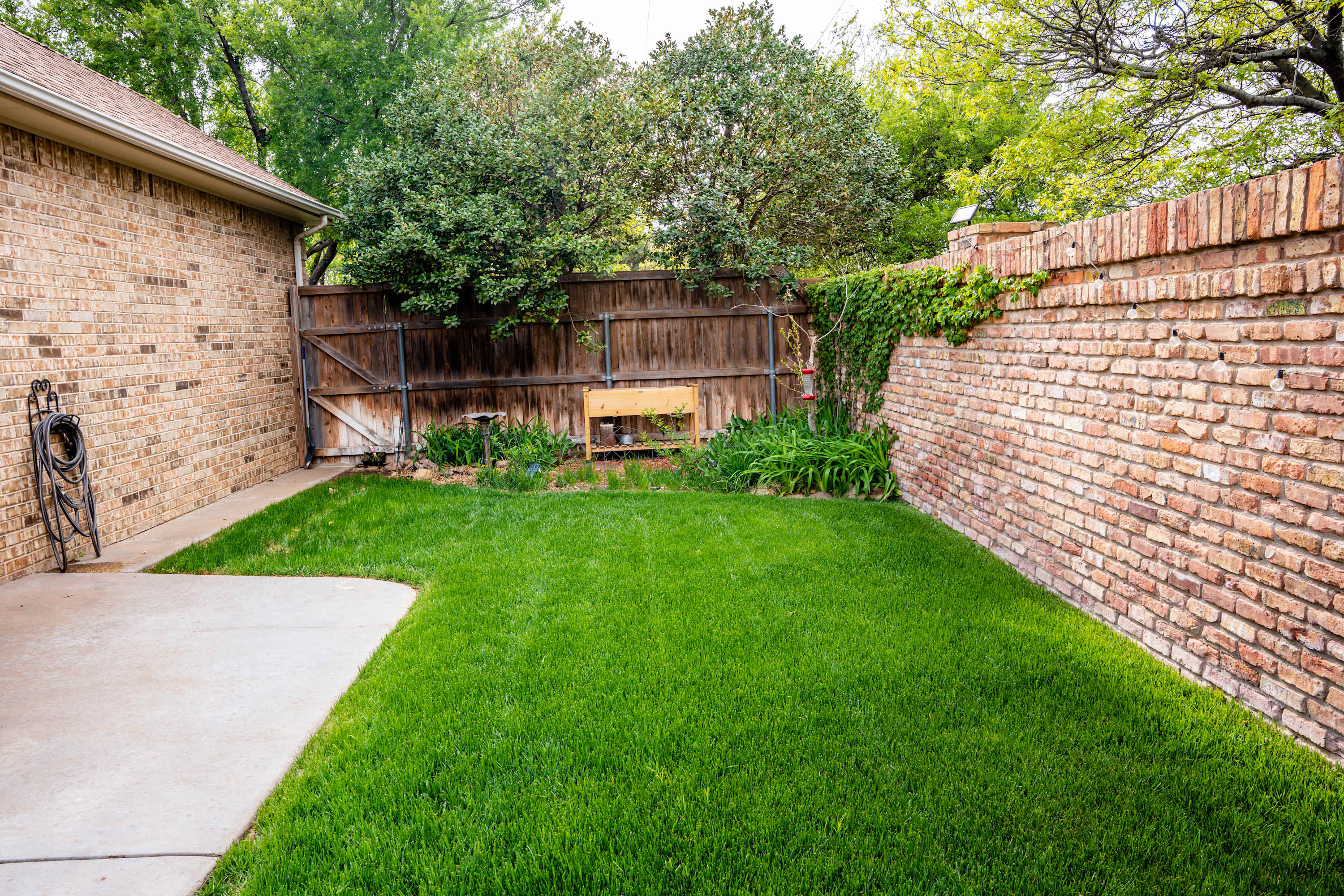 Back yard with a wooden privacy fence and grass