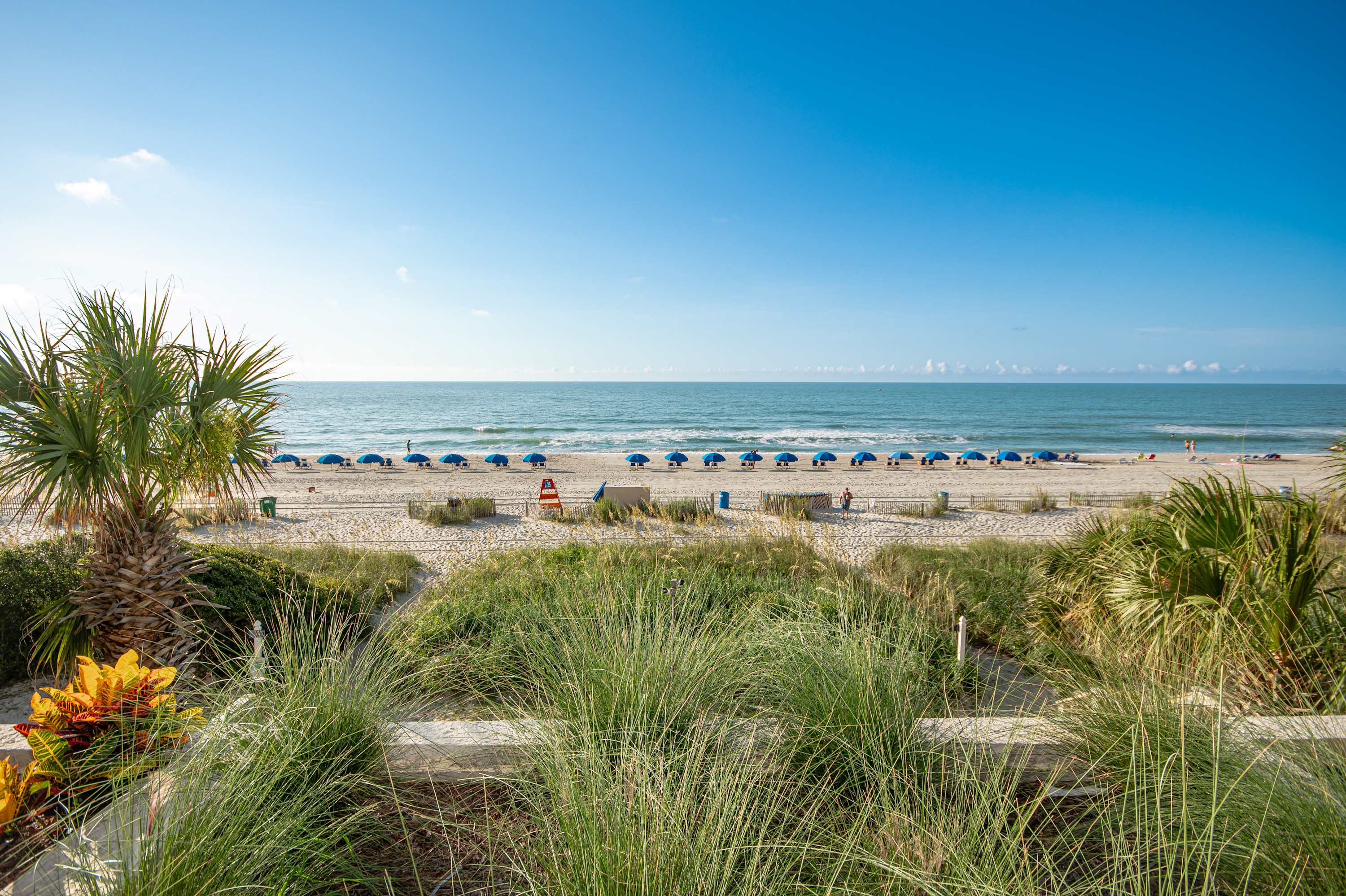 Updated Oceanfront Pools More S129 | Photo 41