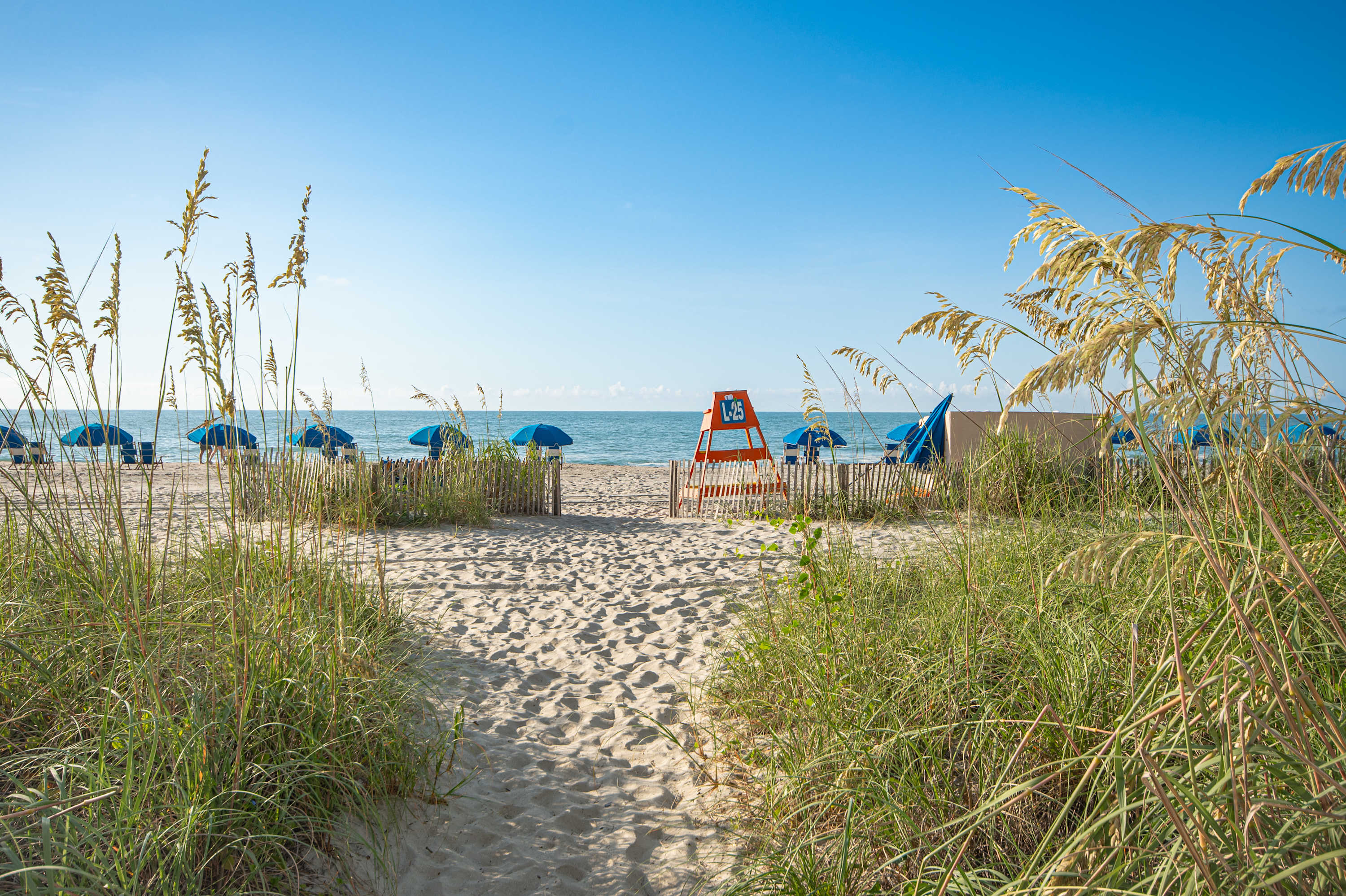Oceanfront King ALL Amenities Pools Y52 | Photo 67