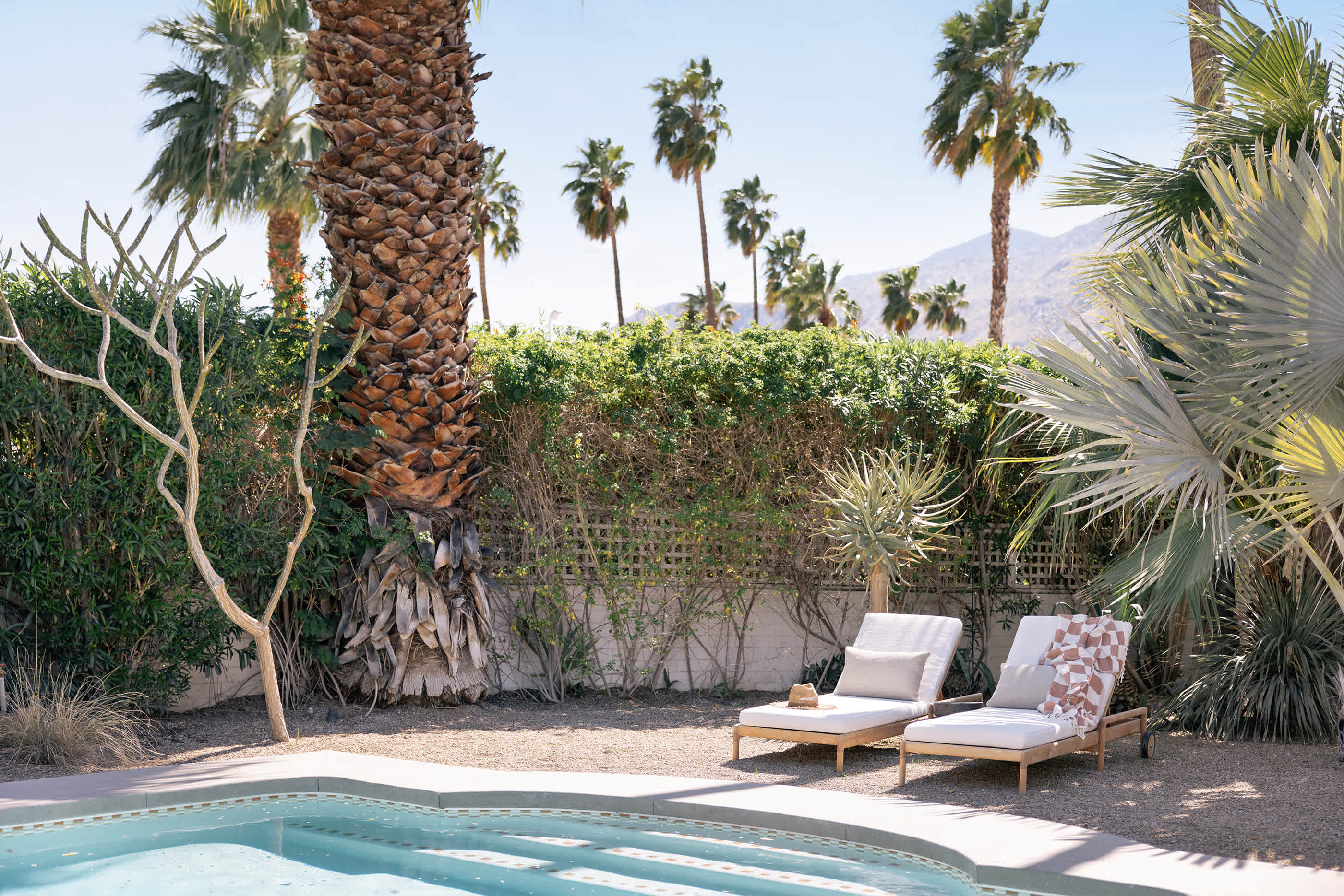 San Simian | Palm Springs, California | Photo 34