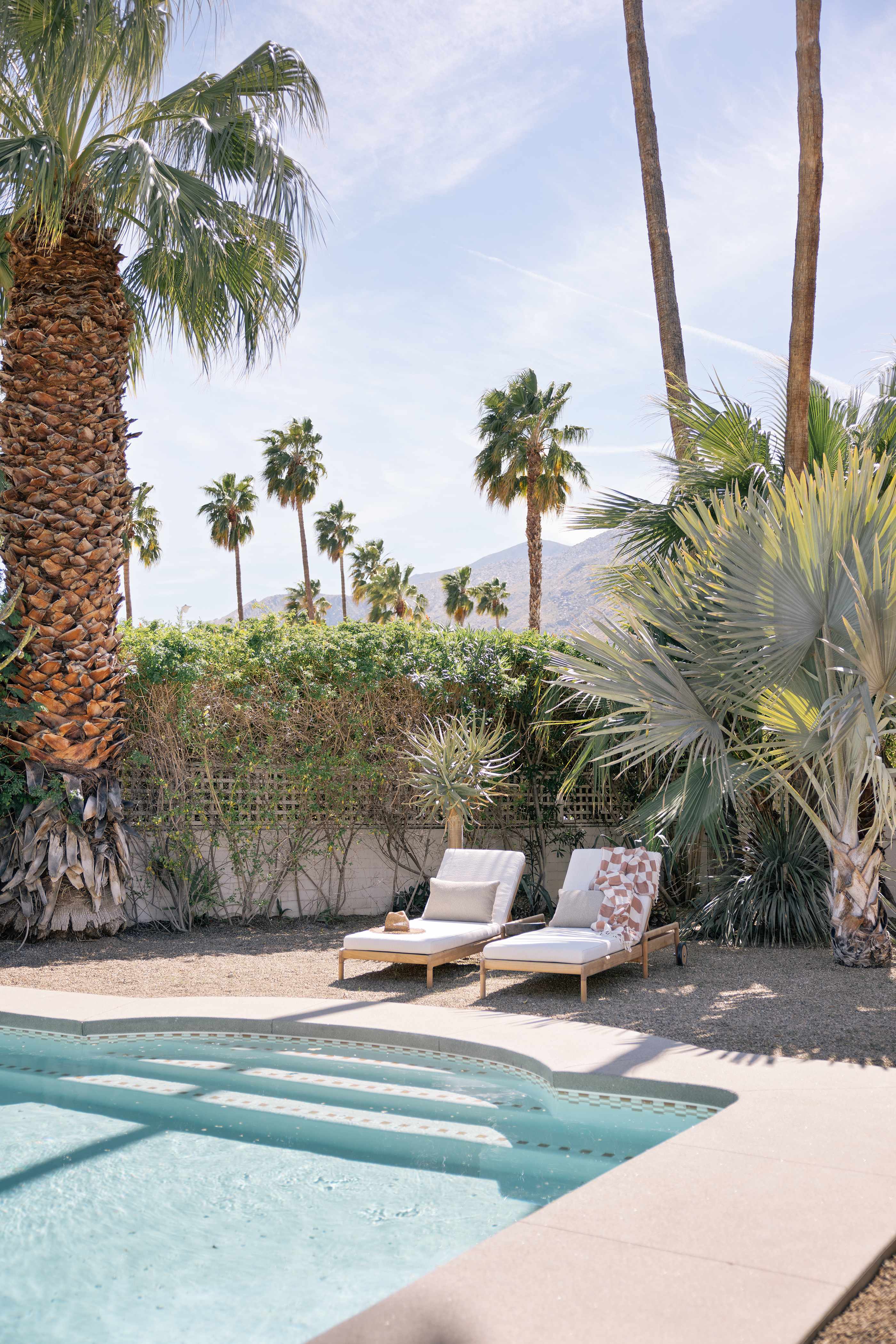 San Simian | Palm Springs, California | Photo 33