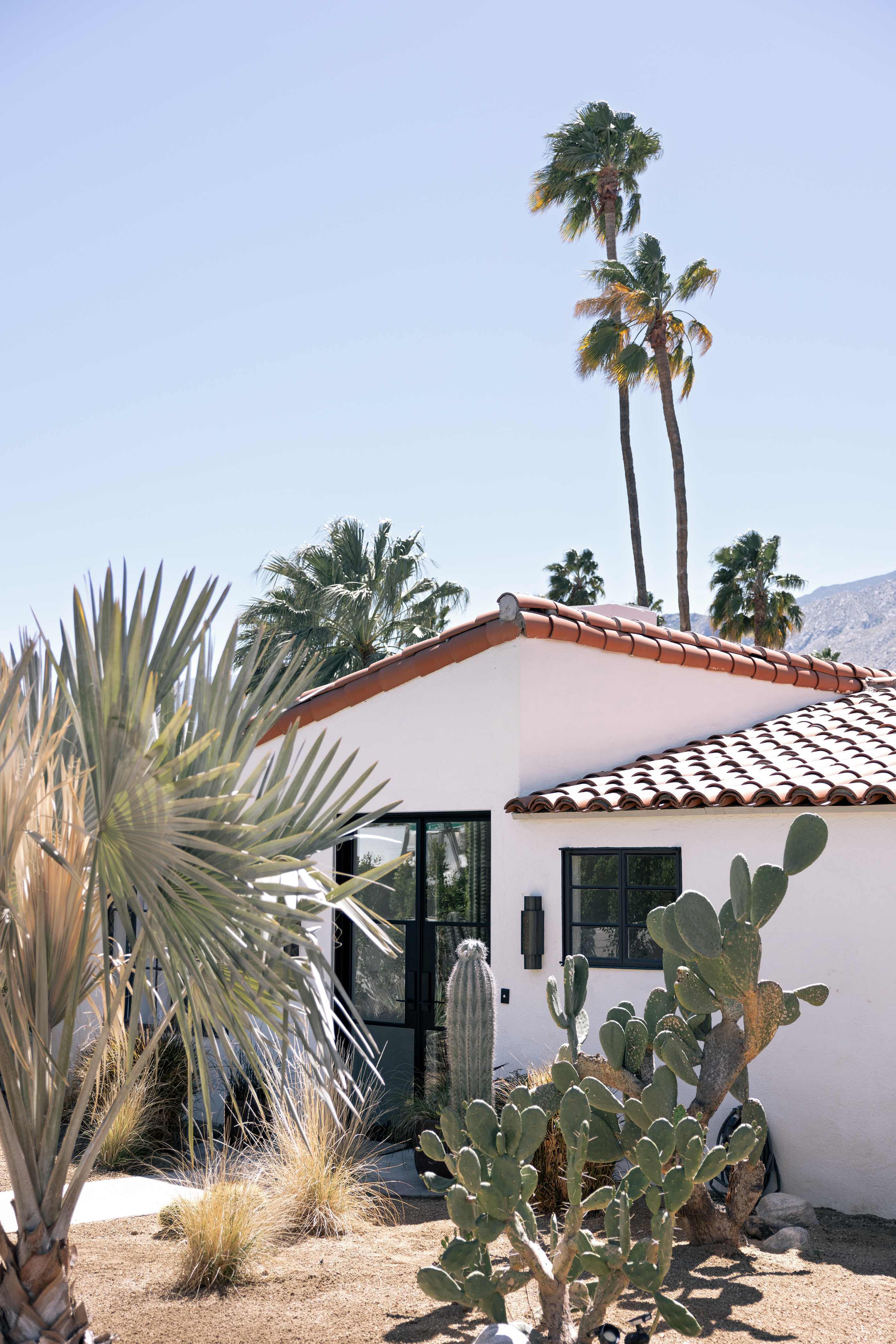 San Simian | Palm Springs, California | Photo 40