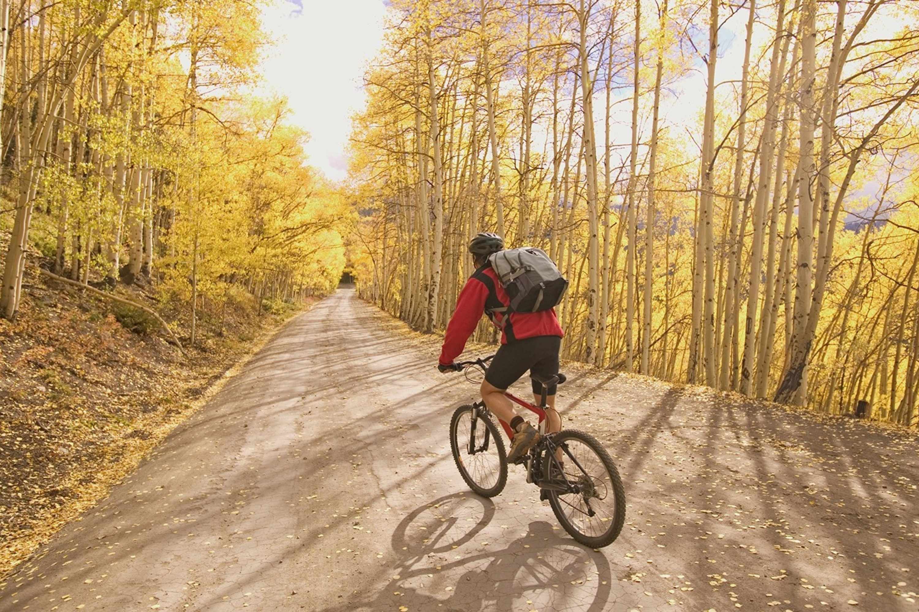 Enjoy biking in a Silver Bicycle Friendly Community recognized by the League of American Bicyclists