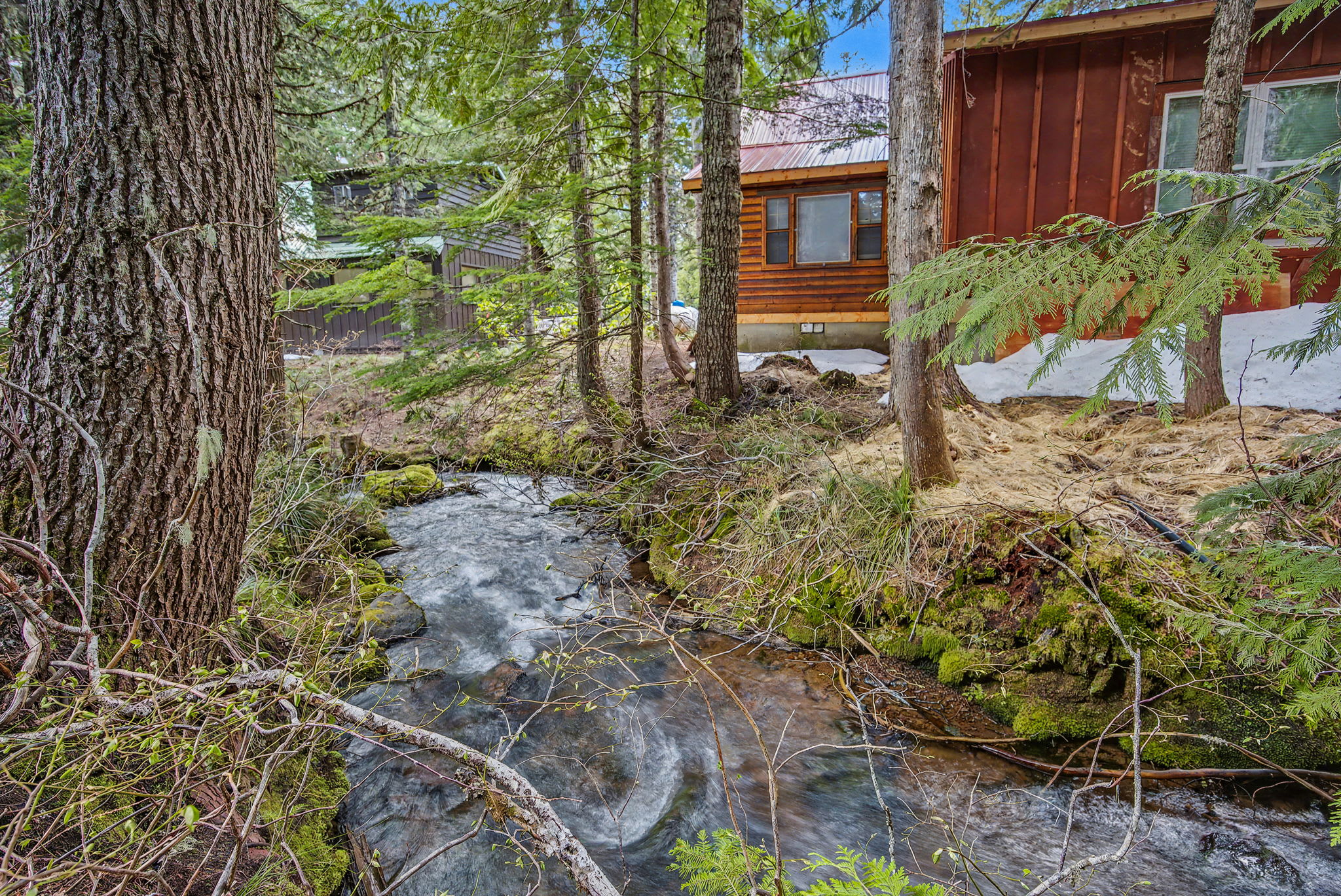 A serene stream flows through a wooded area, flanked by tall evergreen trees and rustic cabins with wooden siding, with patches of snow still visible on the ground near the banks.