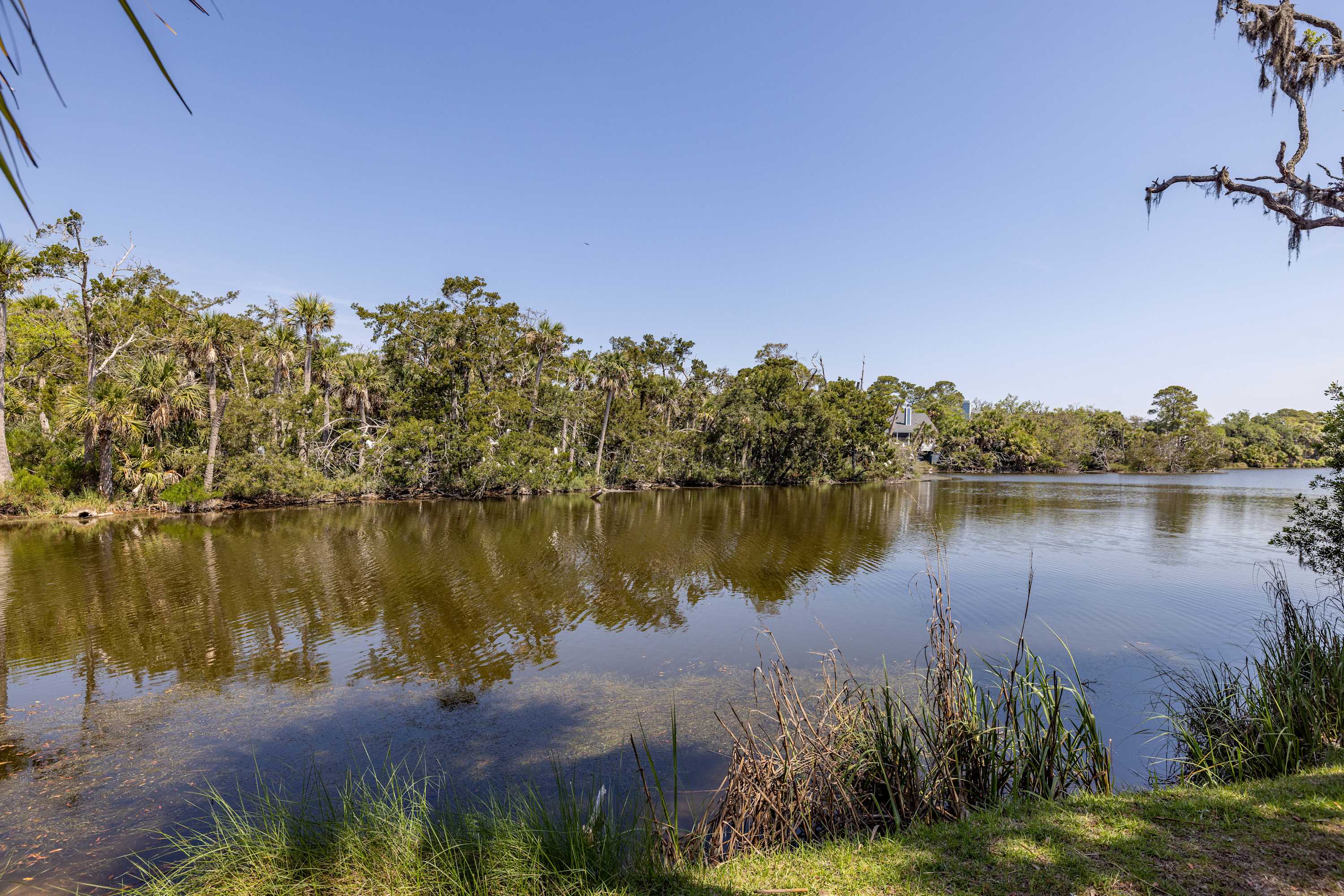 514 Remora Dr Private Lakefront View | Photo 7