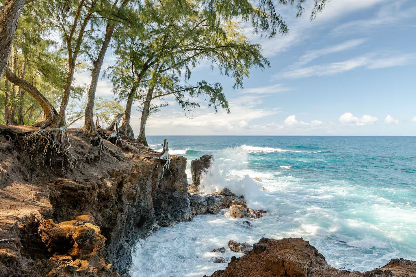 Luxury Oceanfront Ohana Treehouse Gated Community
