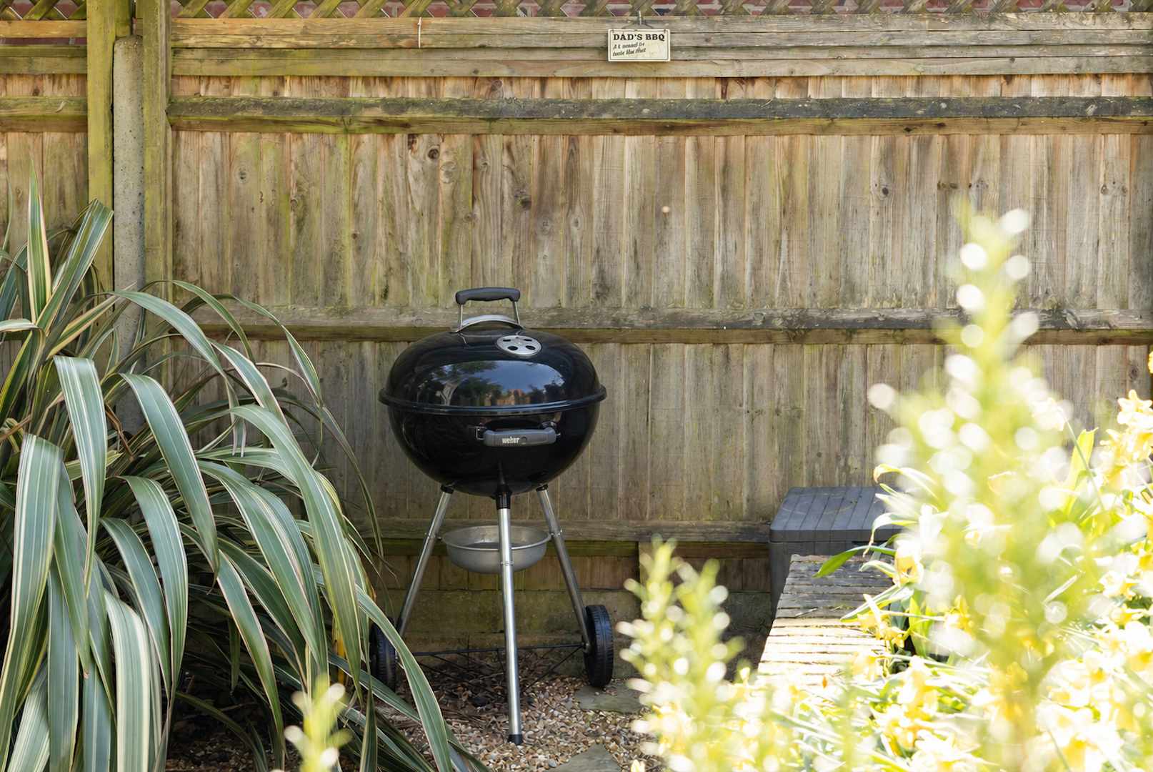 Weber Charcoal BBQ