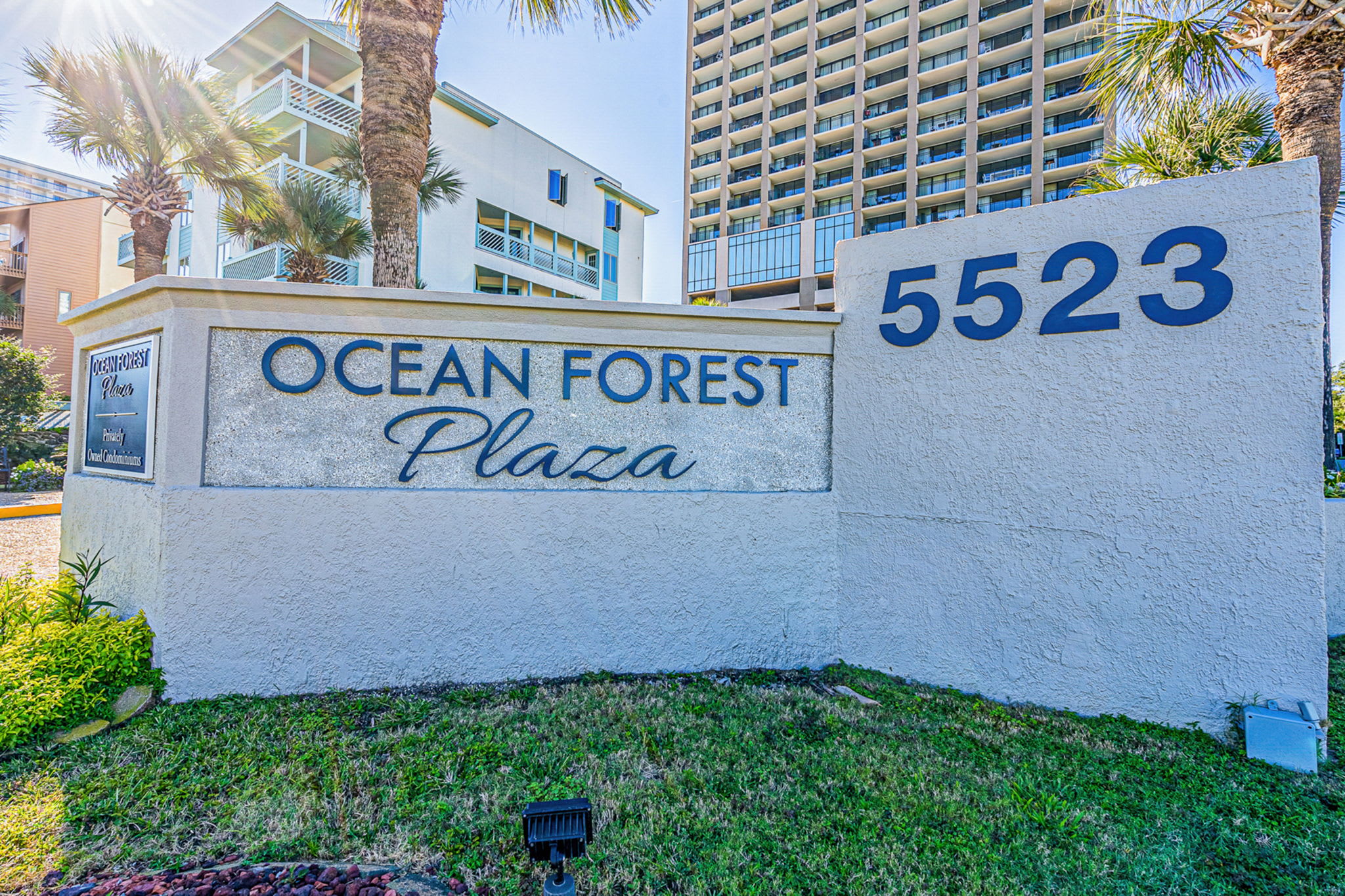 Ocean Forest Plaza 1905 Ocean View | Photo 39