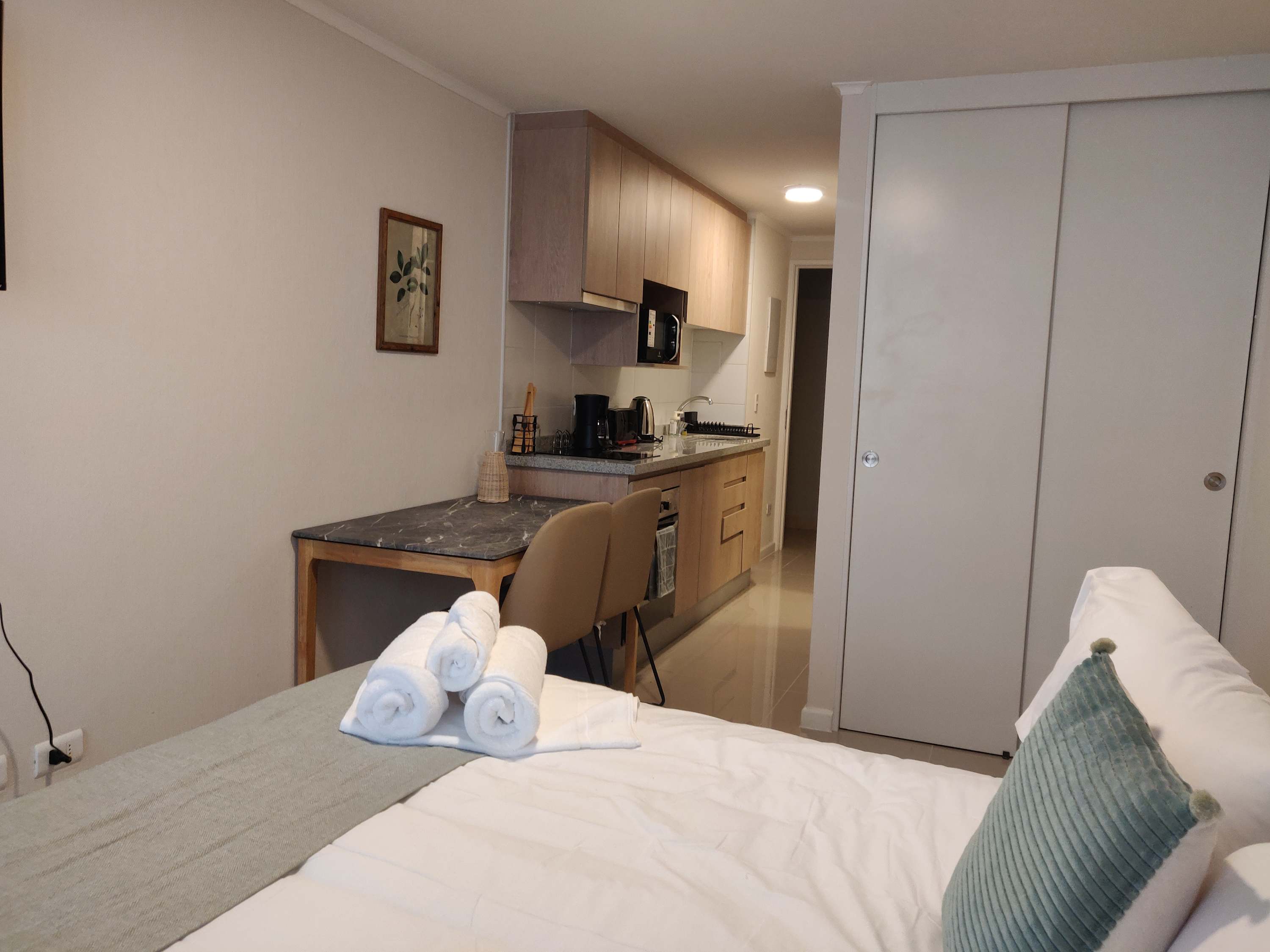 Cozy studio with a well-equipped kitchenette and comfortable sleeping area, perfect for a relaxing stay in the heart of Chile.