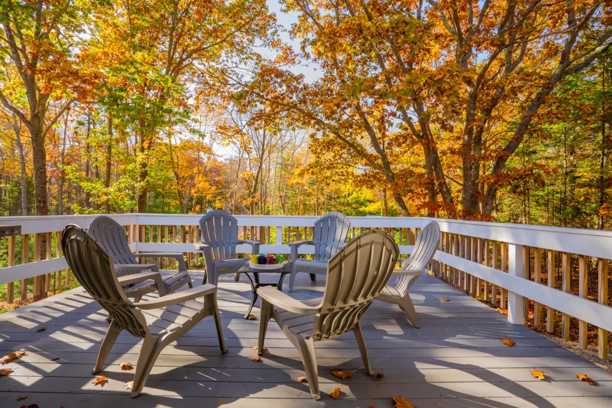 Coastal calm meets classic Maine charm at Ocean Avenue Retreat