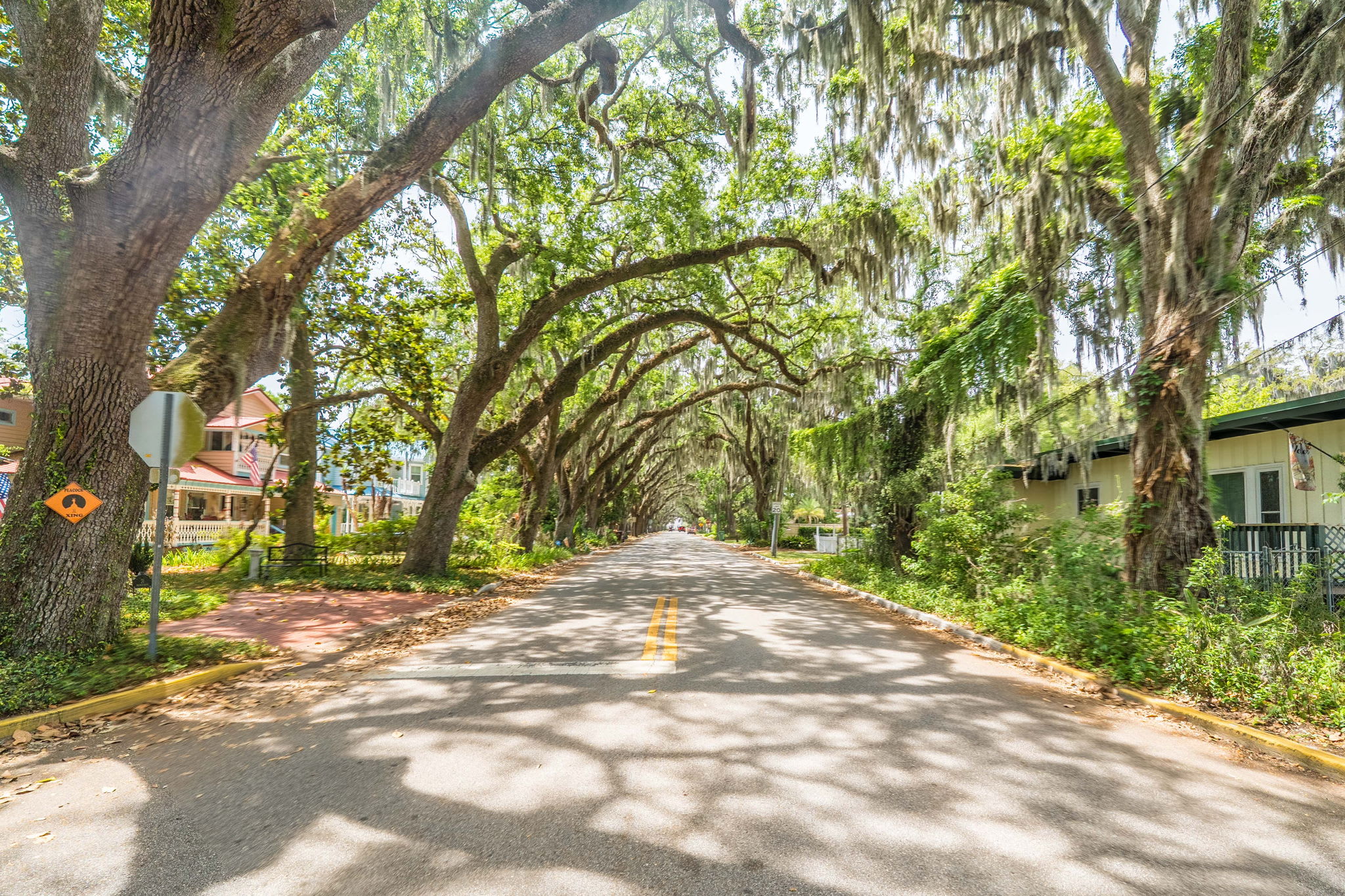 Oak Canopy Escape | St. Augustine | Heated Pool — photo 3