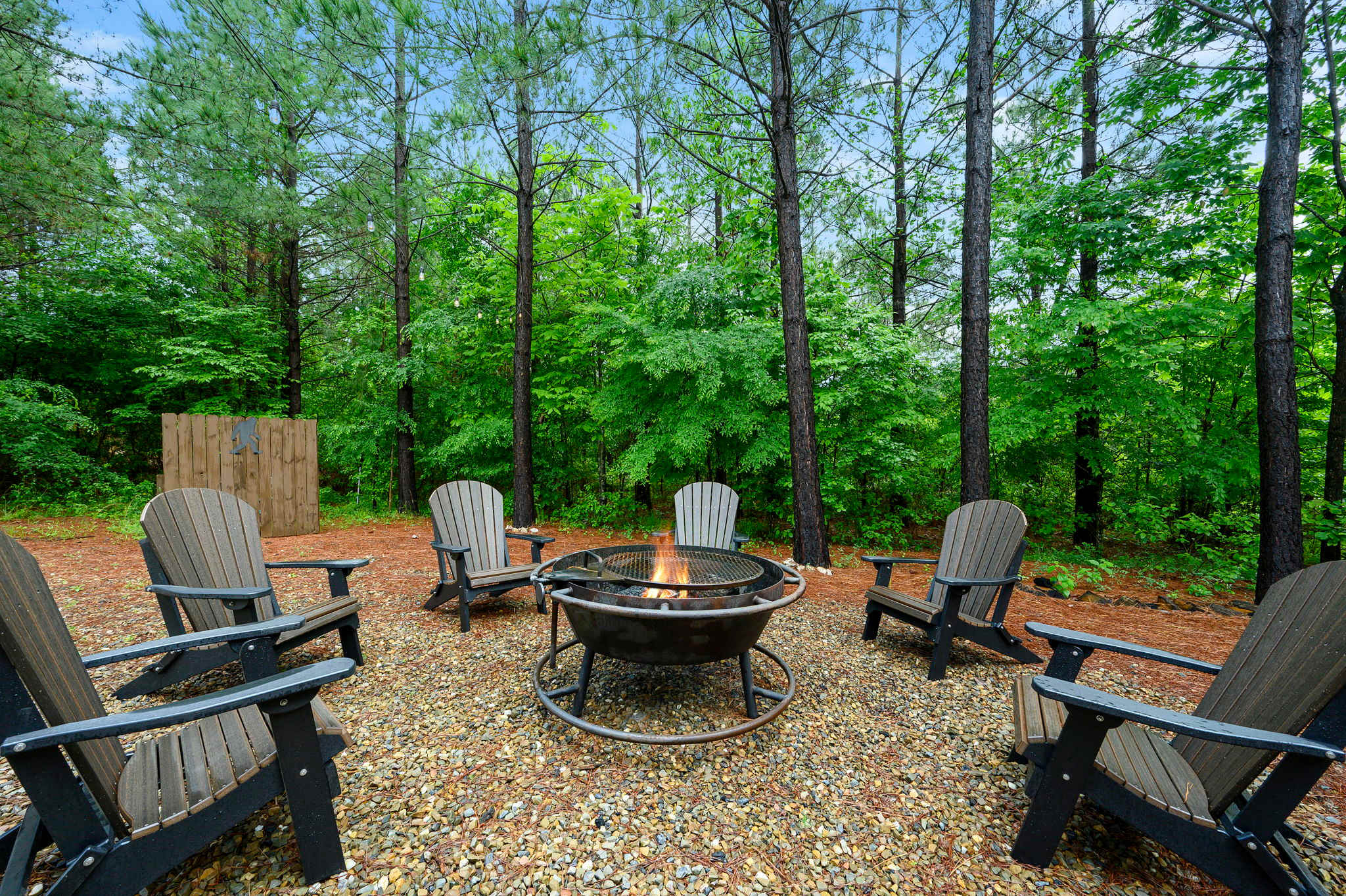 Starry skies & fireside vibes