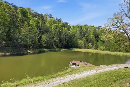 2-3 acre stocked pond