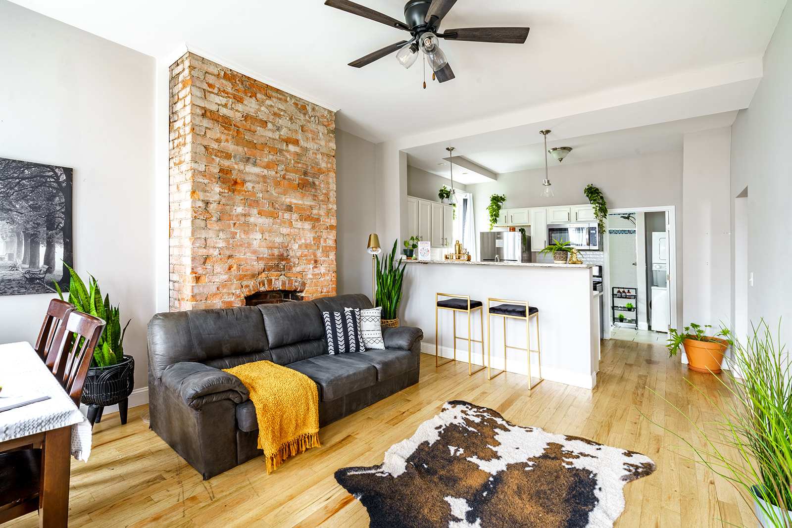 🌿 Jungle Aura by Jungle House | Downtown & Short North | Near...