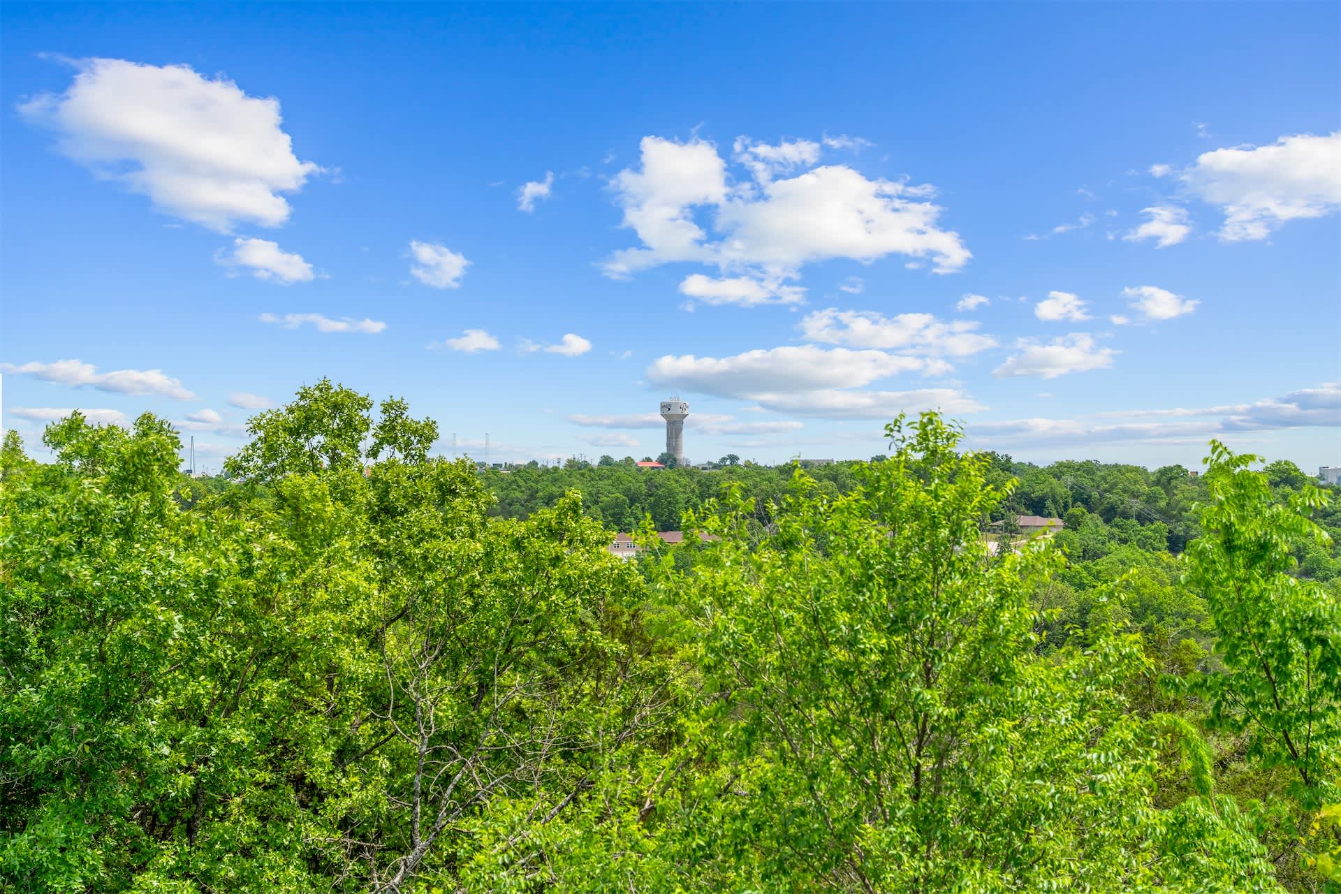 Lounge the day away or dine alfresco with treetop views on the balcony​