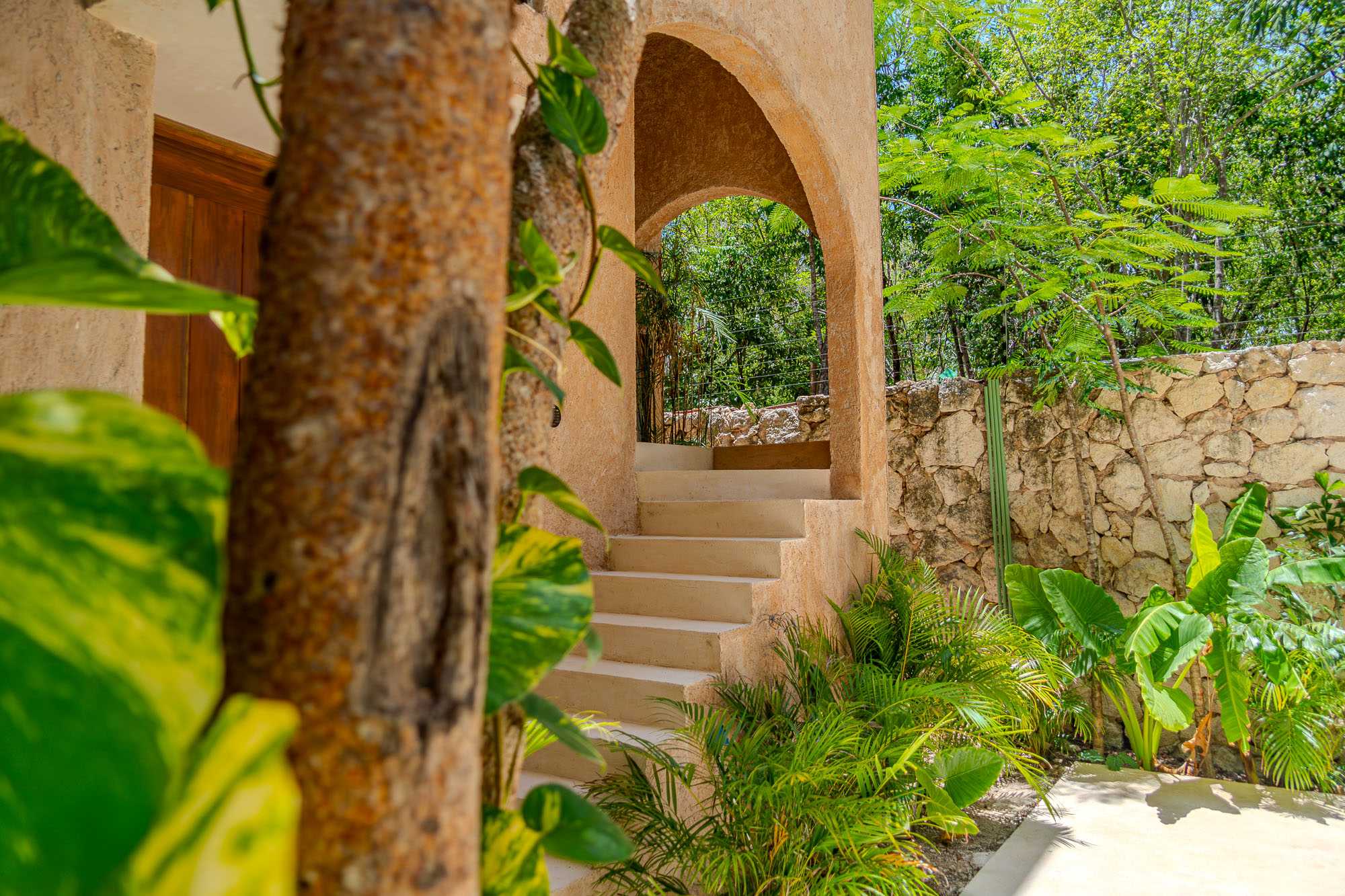 A peaceful jungle pathway welcomes you to the penthouse, blending modern design with Tulum’s natural surroundings.
