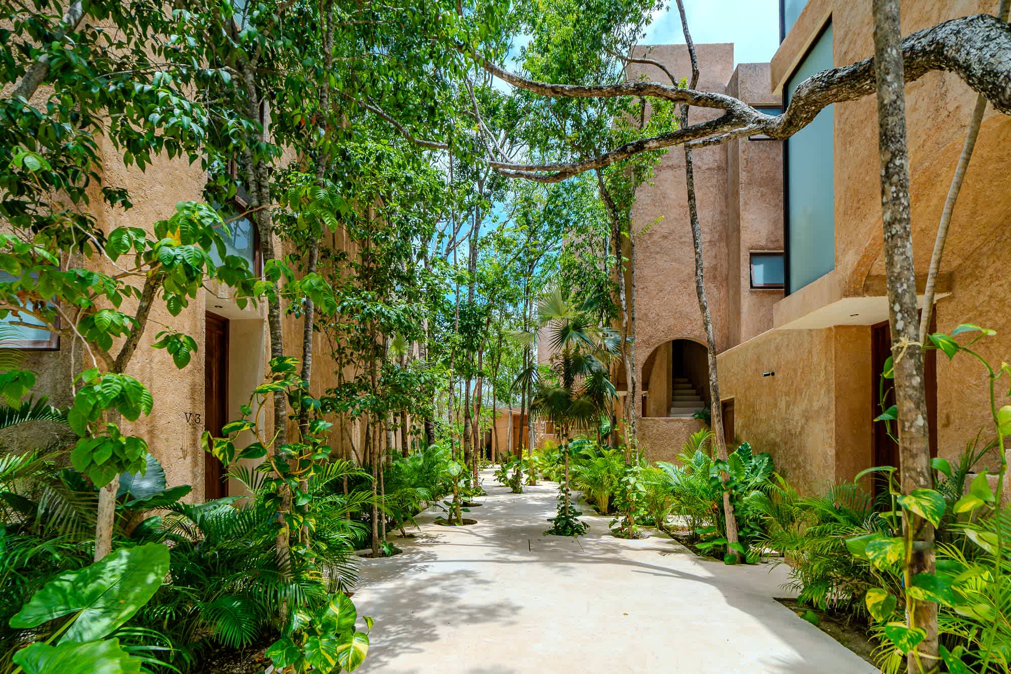 A peaceful jungle pathway welcomes you to the penthouse, blending modern design with Tulum’s natural surroundings.