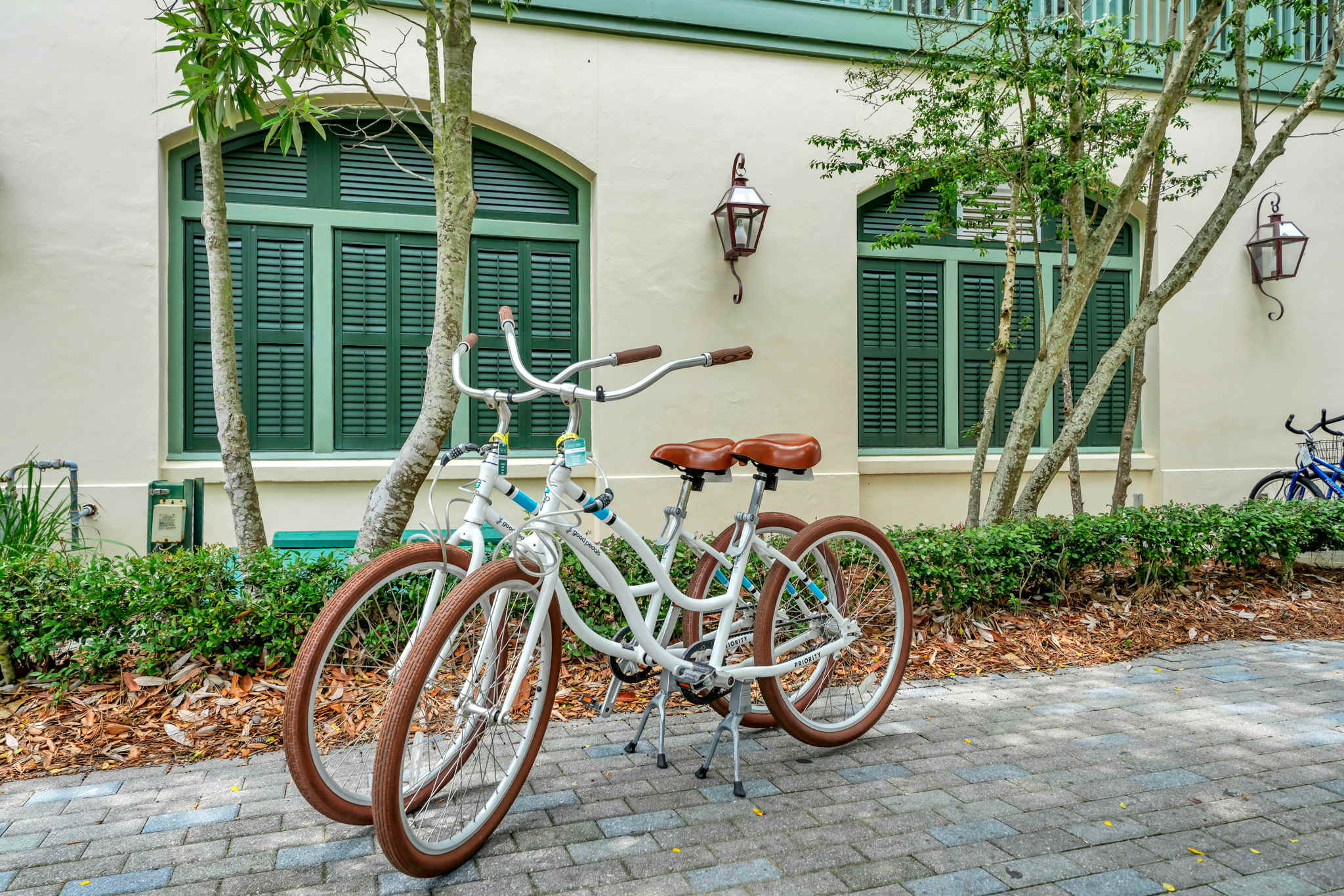 Two adult bikes available for your use