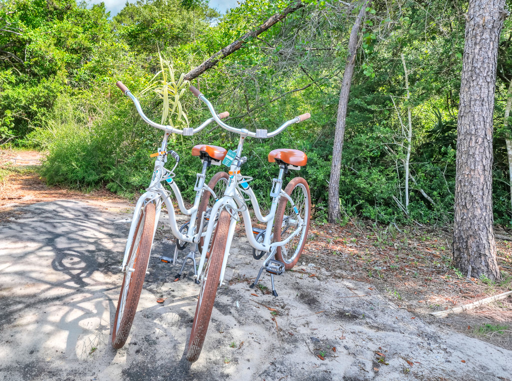 2 adult bikes available during your stay